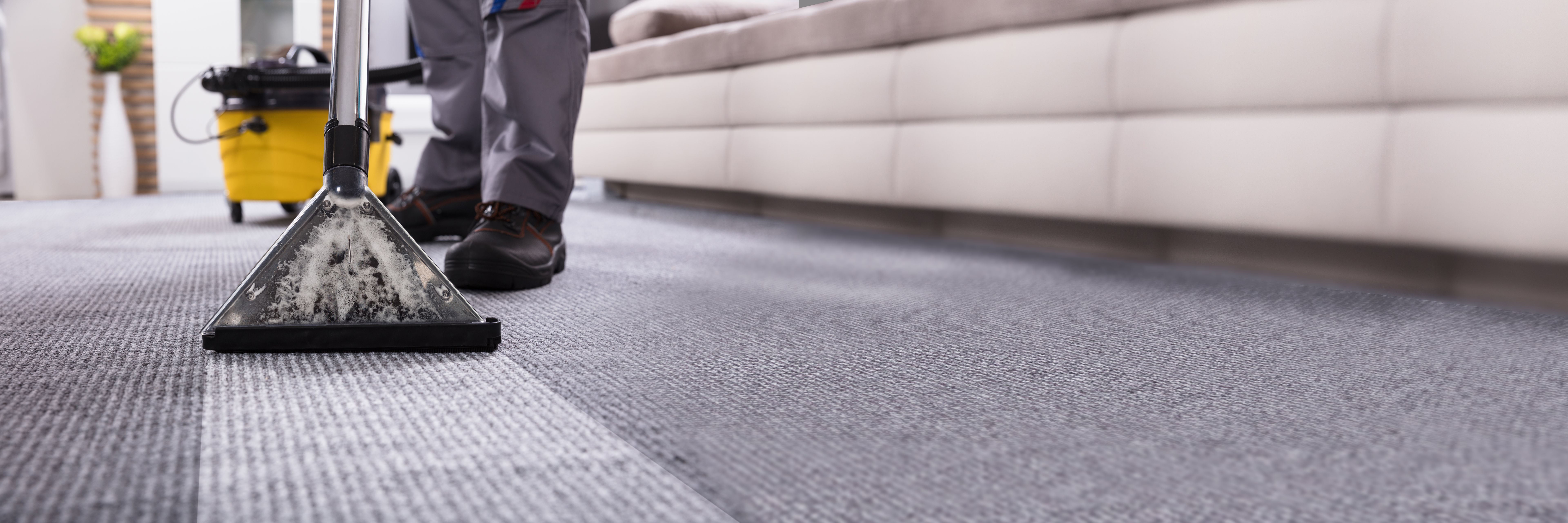 eco friendly carpet cleaning