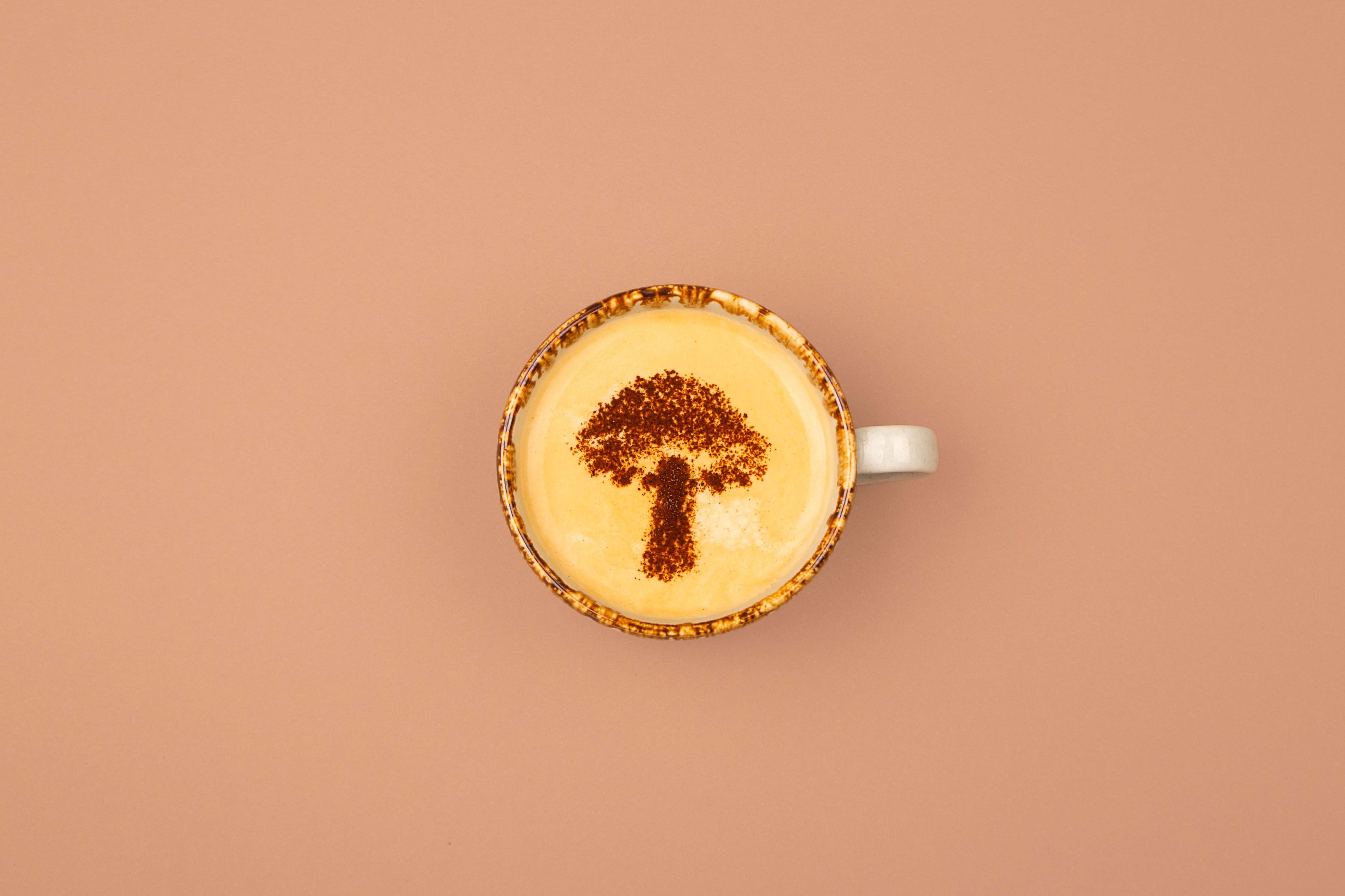 mushroom coffee