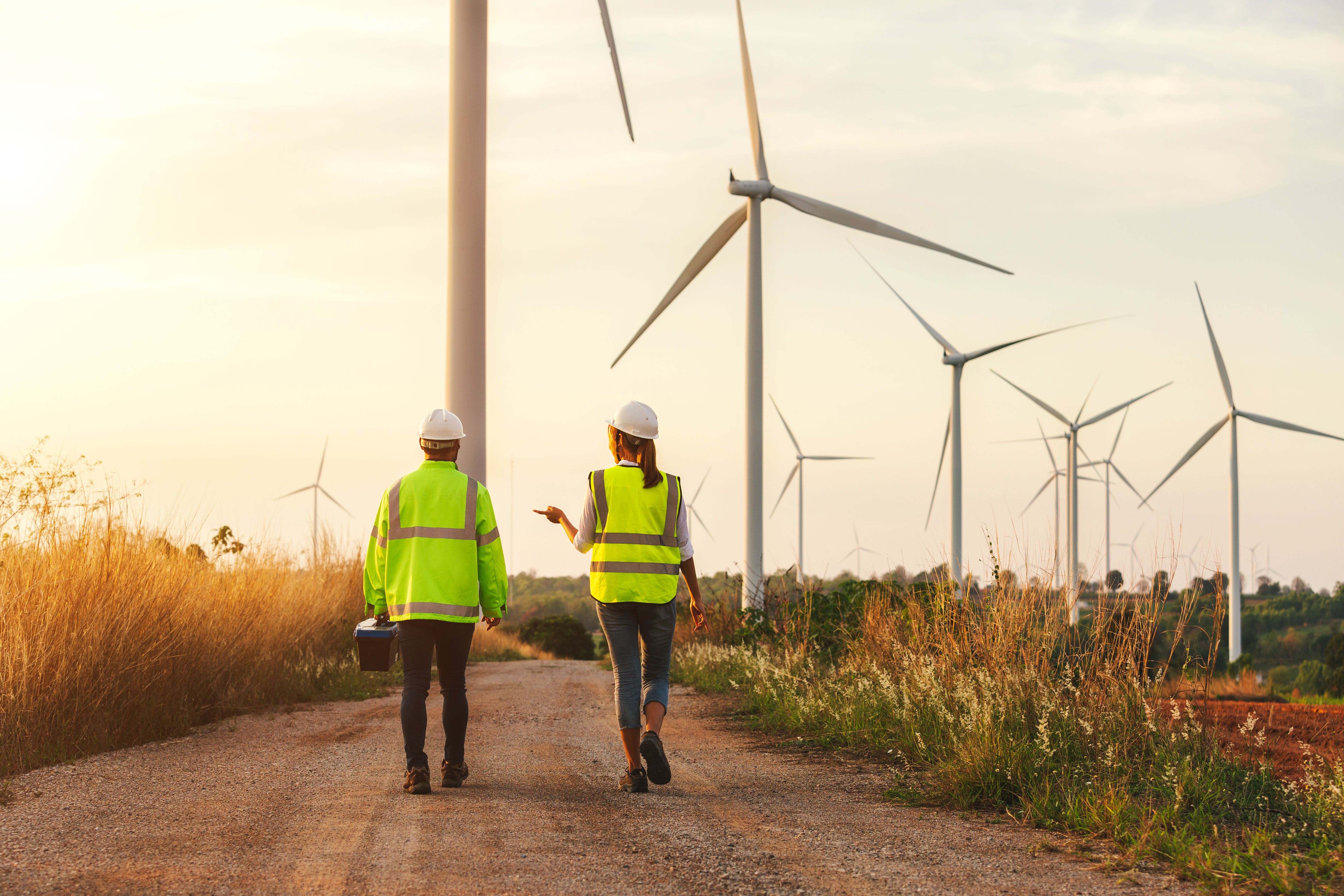 Back view of young maintenance engineers team working in wind turbine farm at sunset.