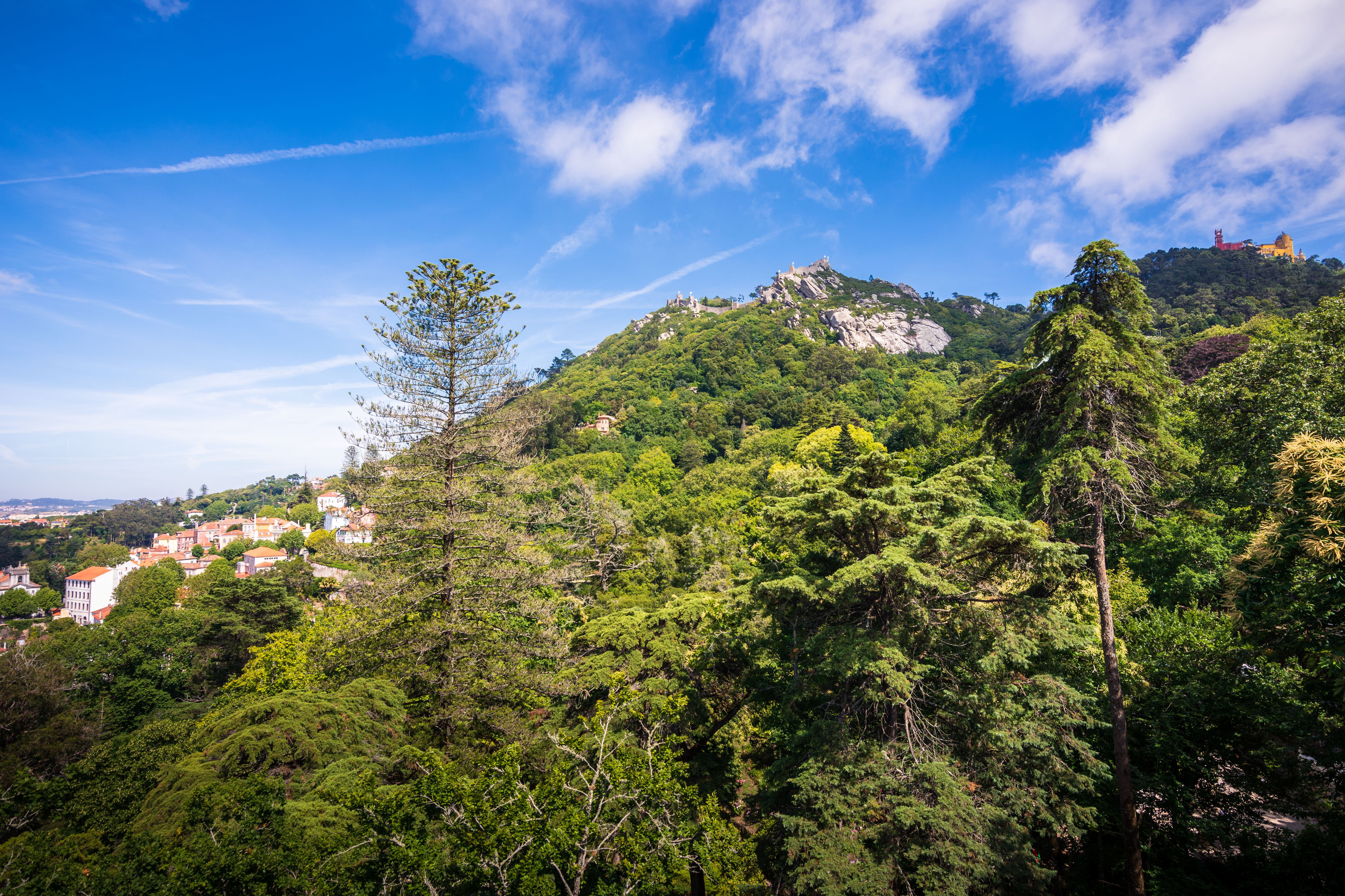 quinta da regaleira