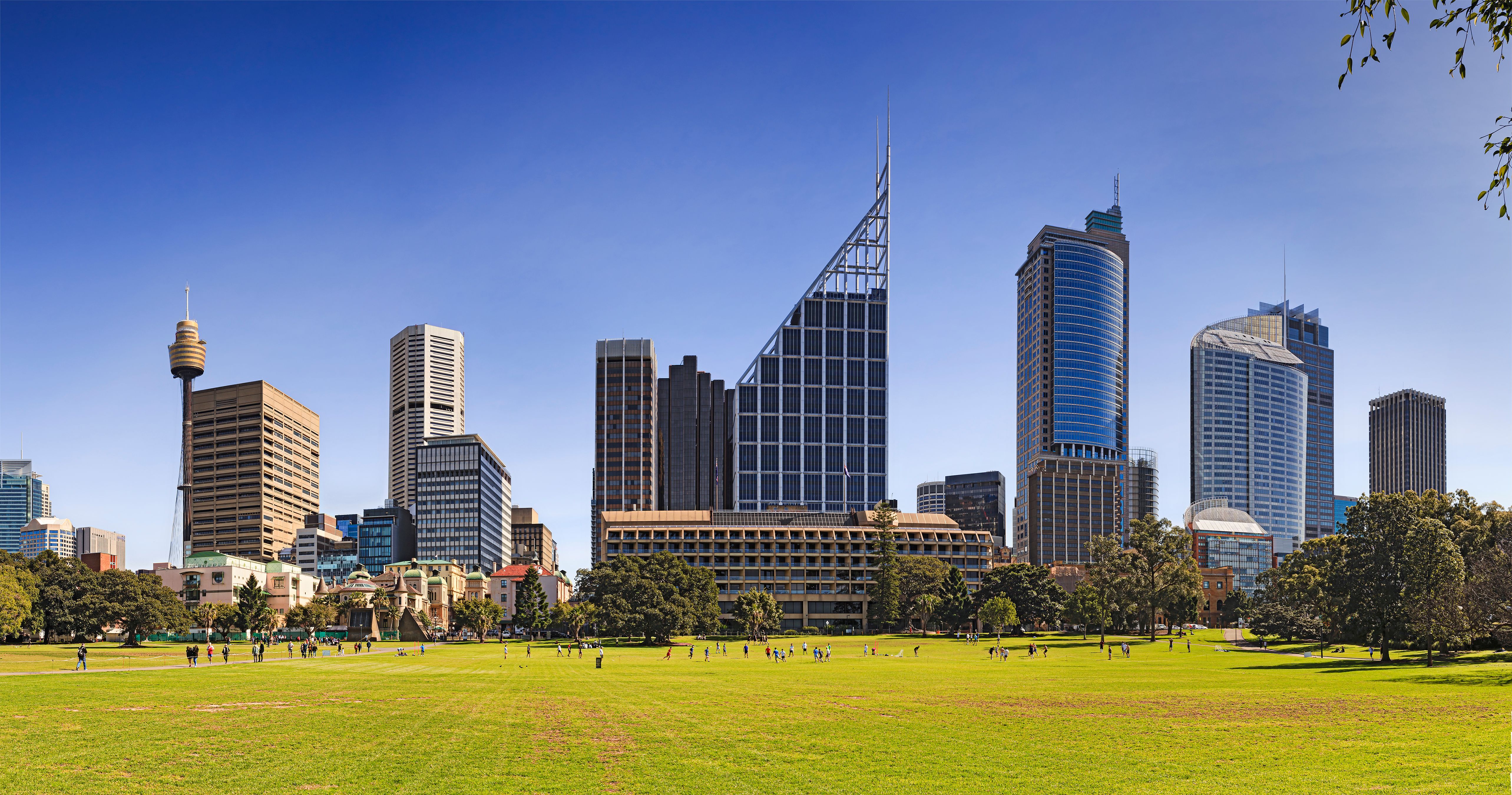 Sy CBD From Domain Day