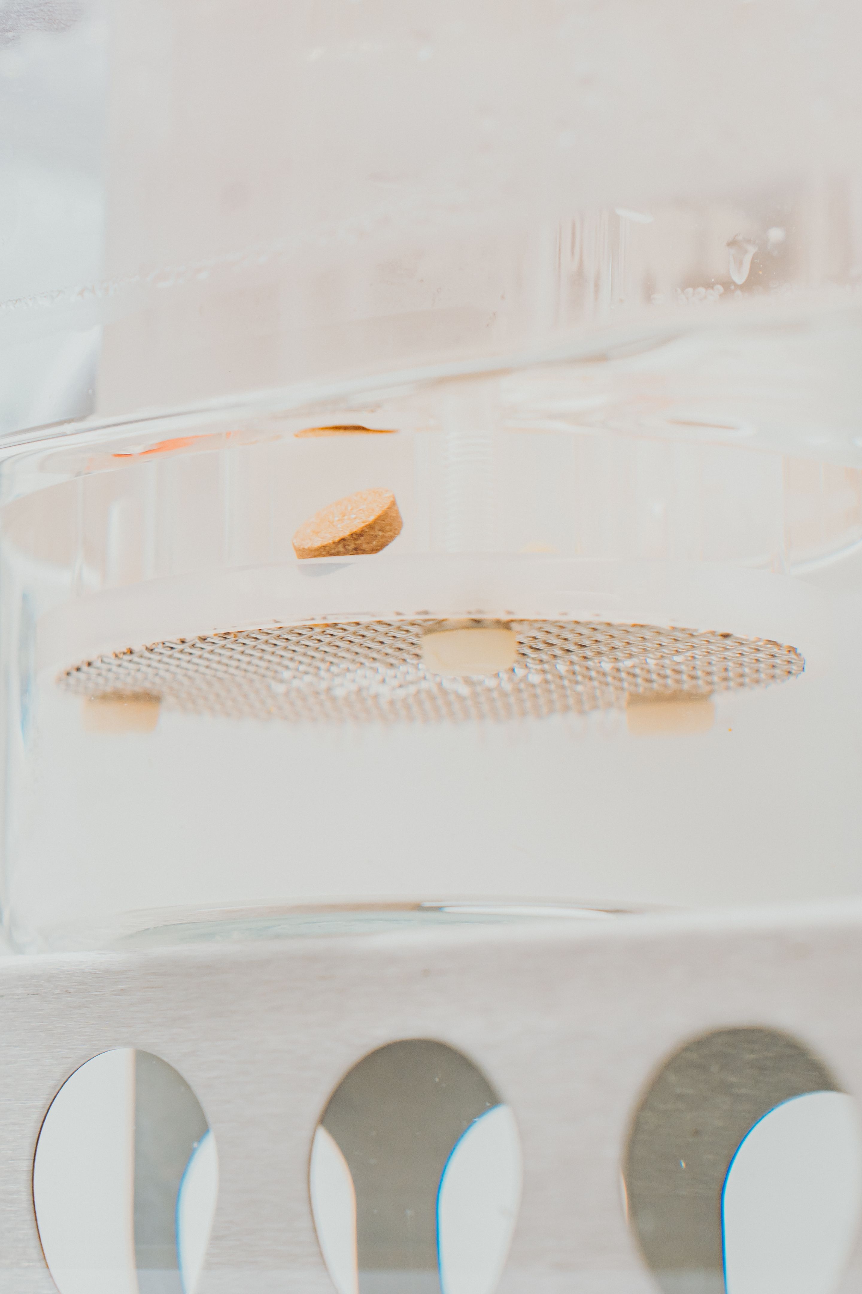 drug test preparation