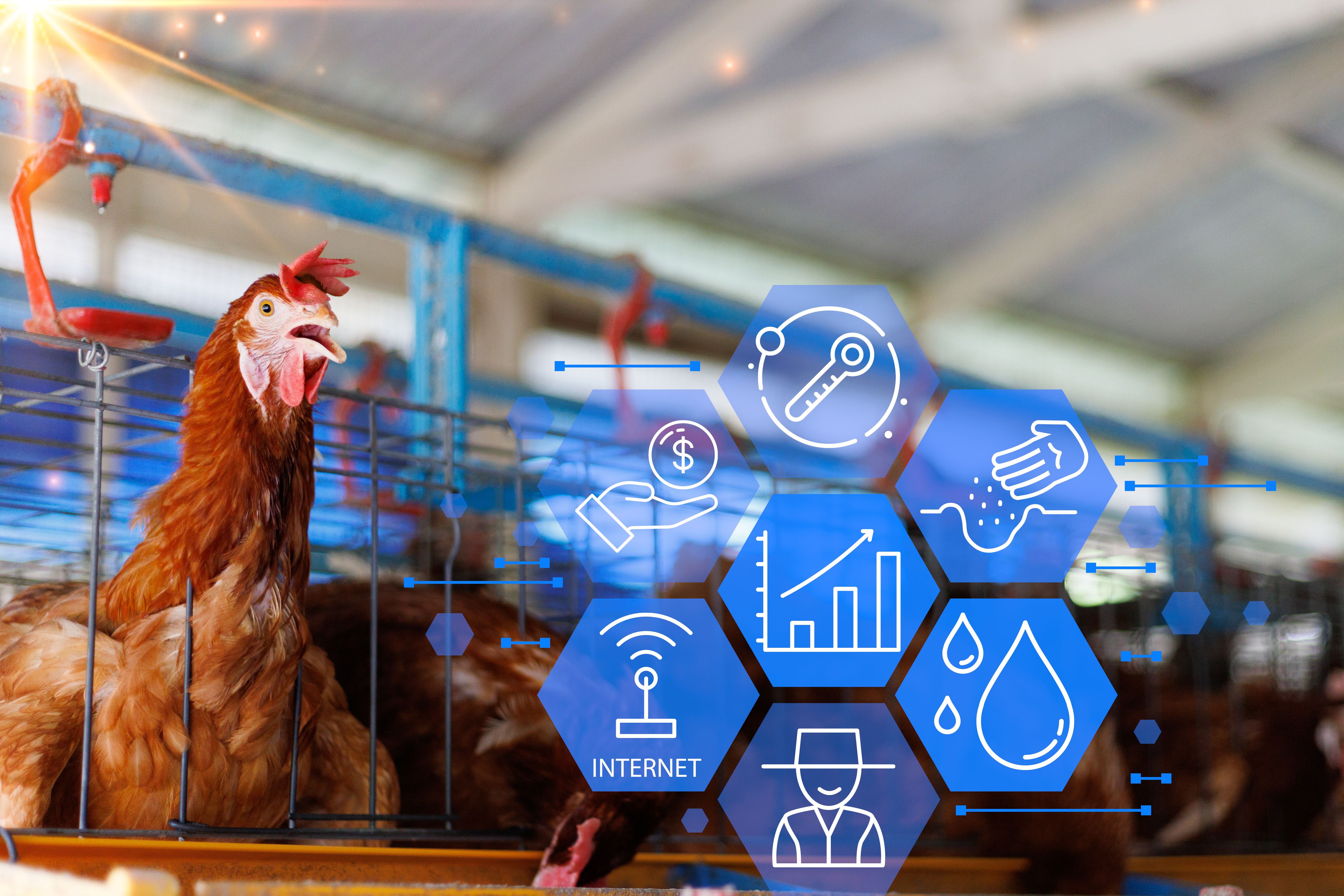 farm automation