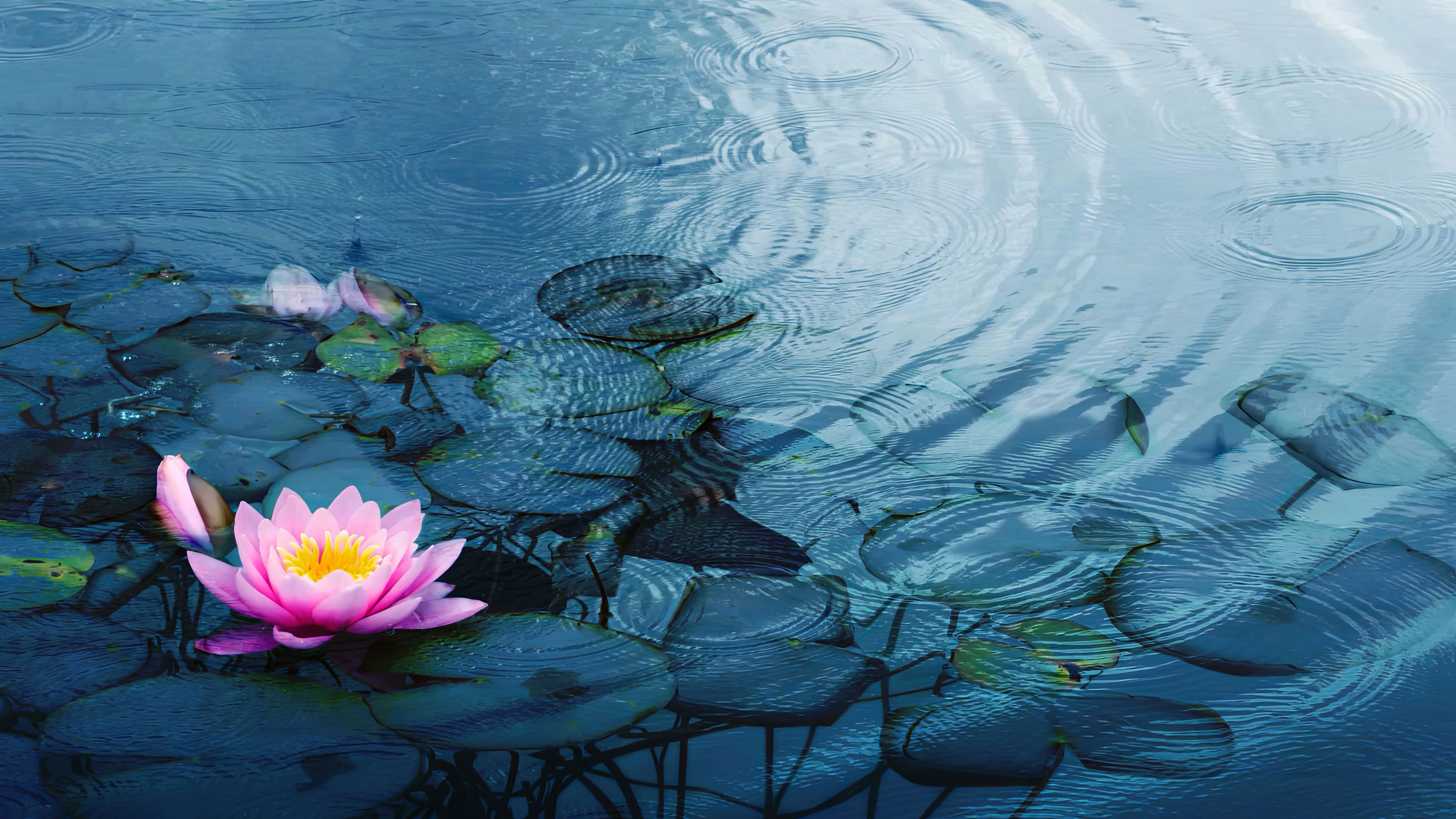 spring pool