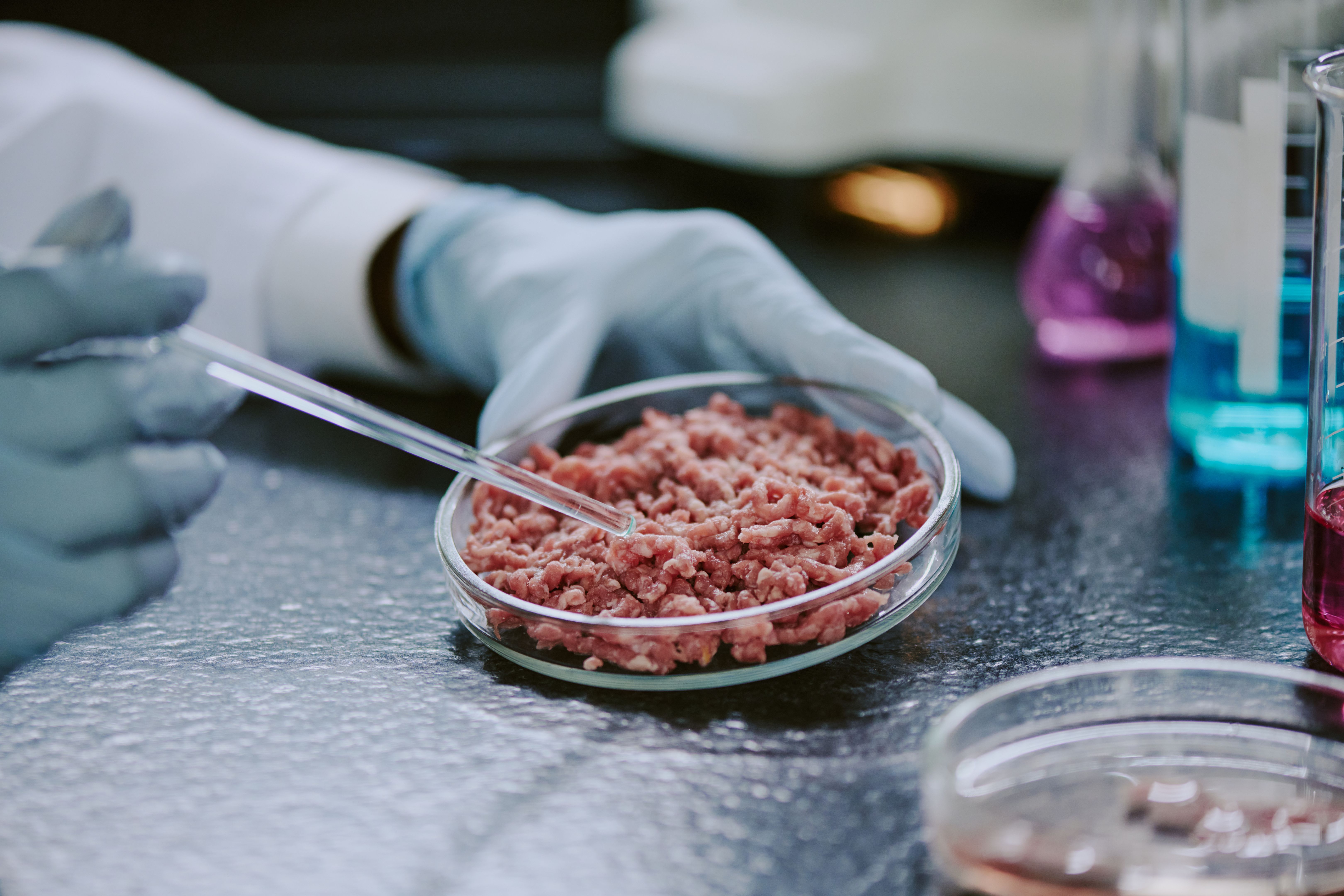 lab-grown meat