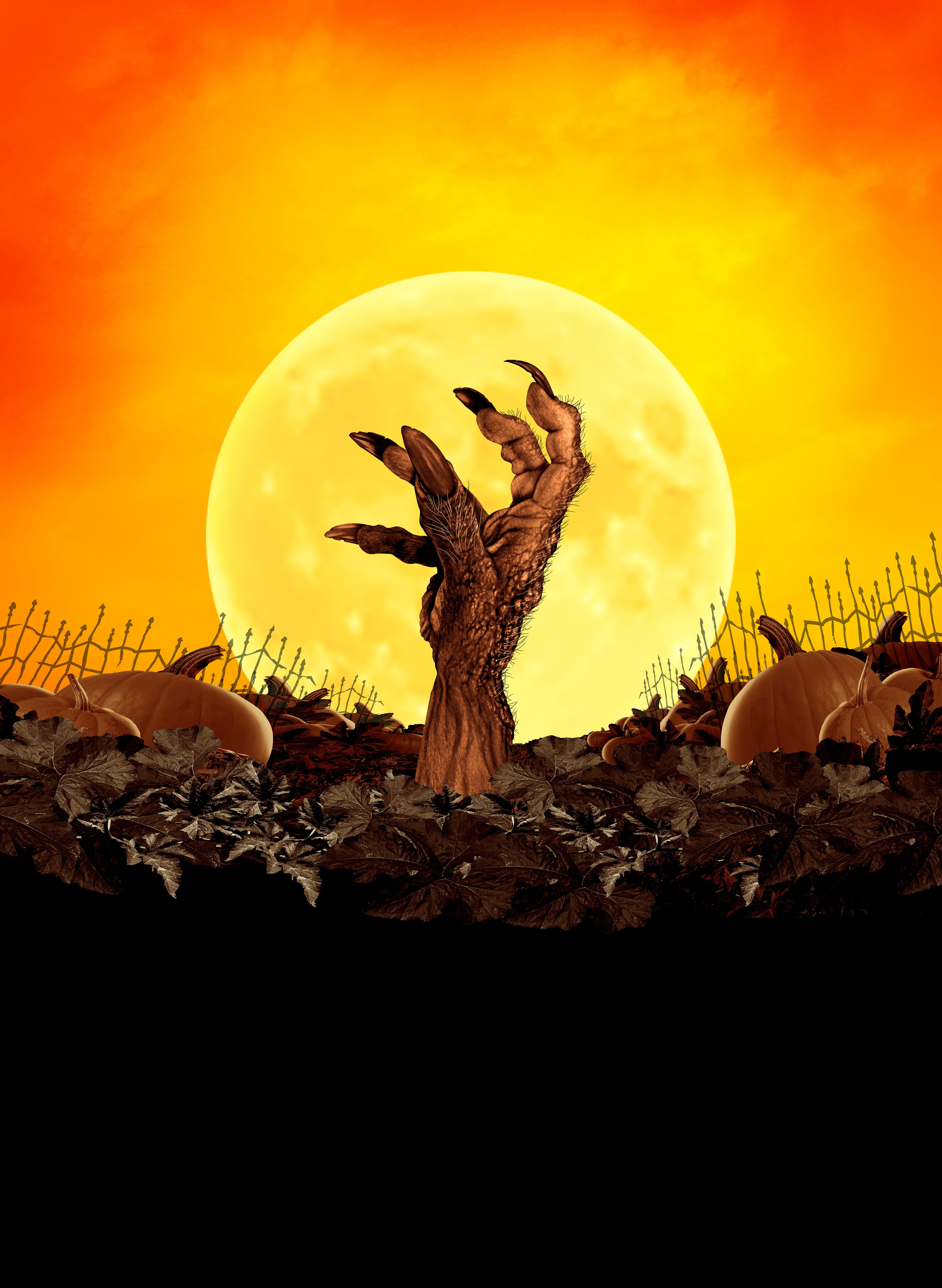 myth digital marketing