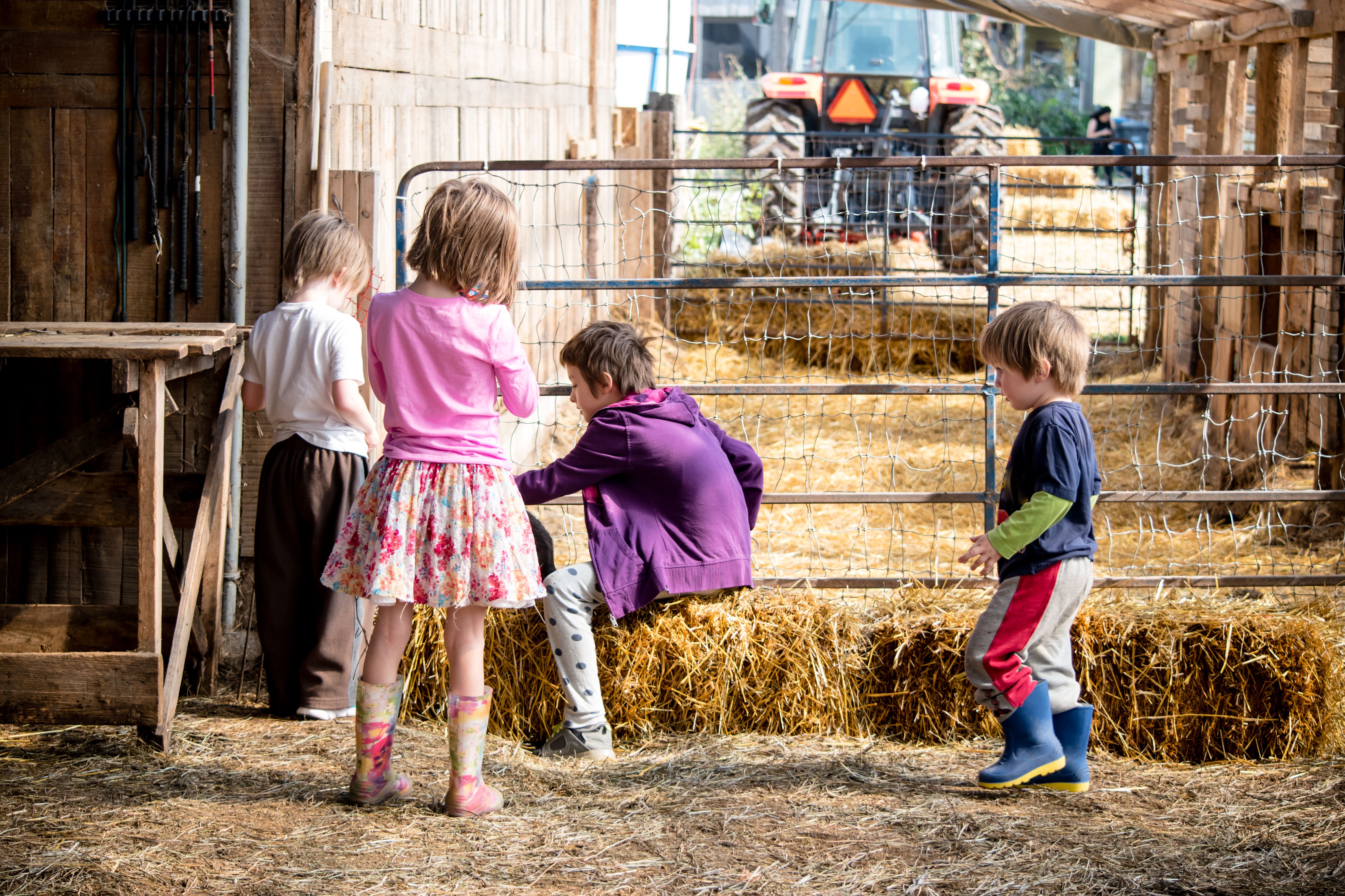 children playing farm