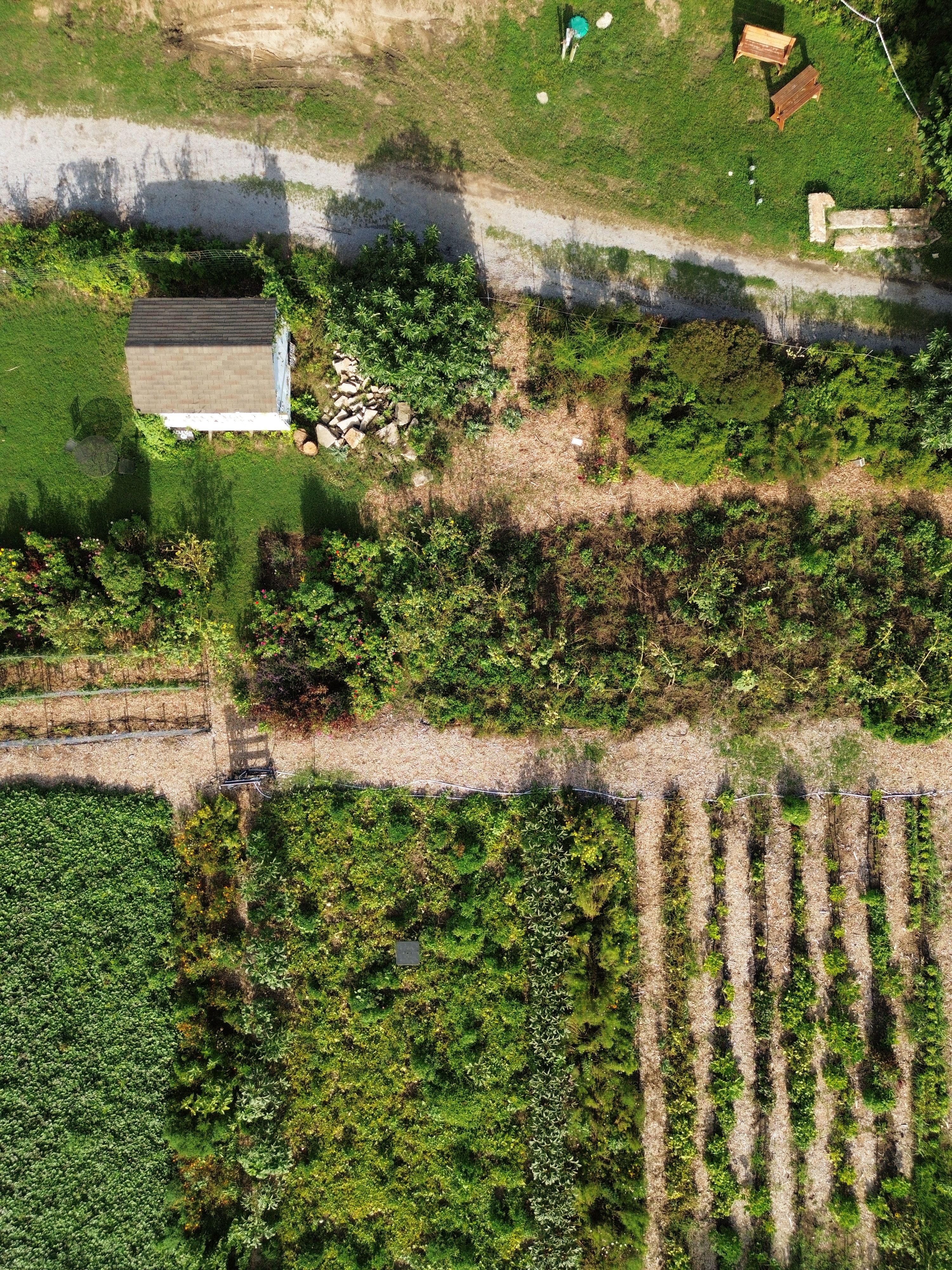 north carolina nonprofit