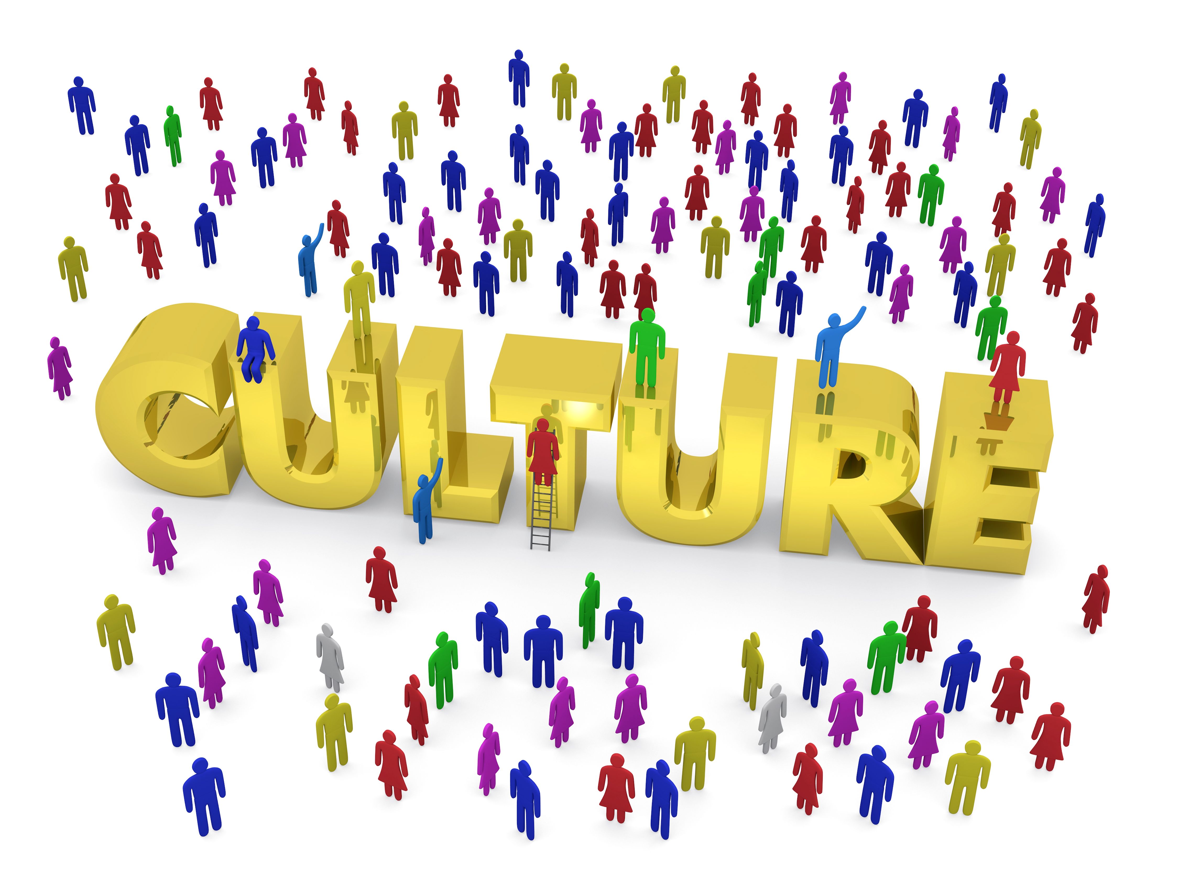 cultura organizacional