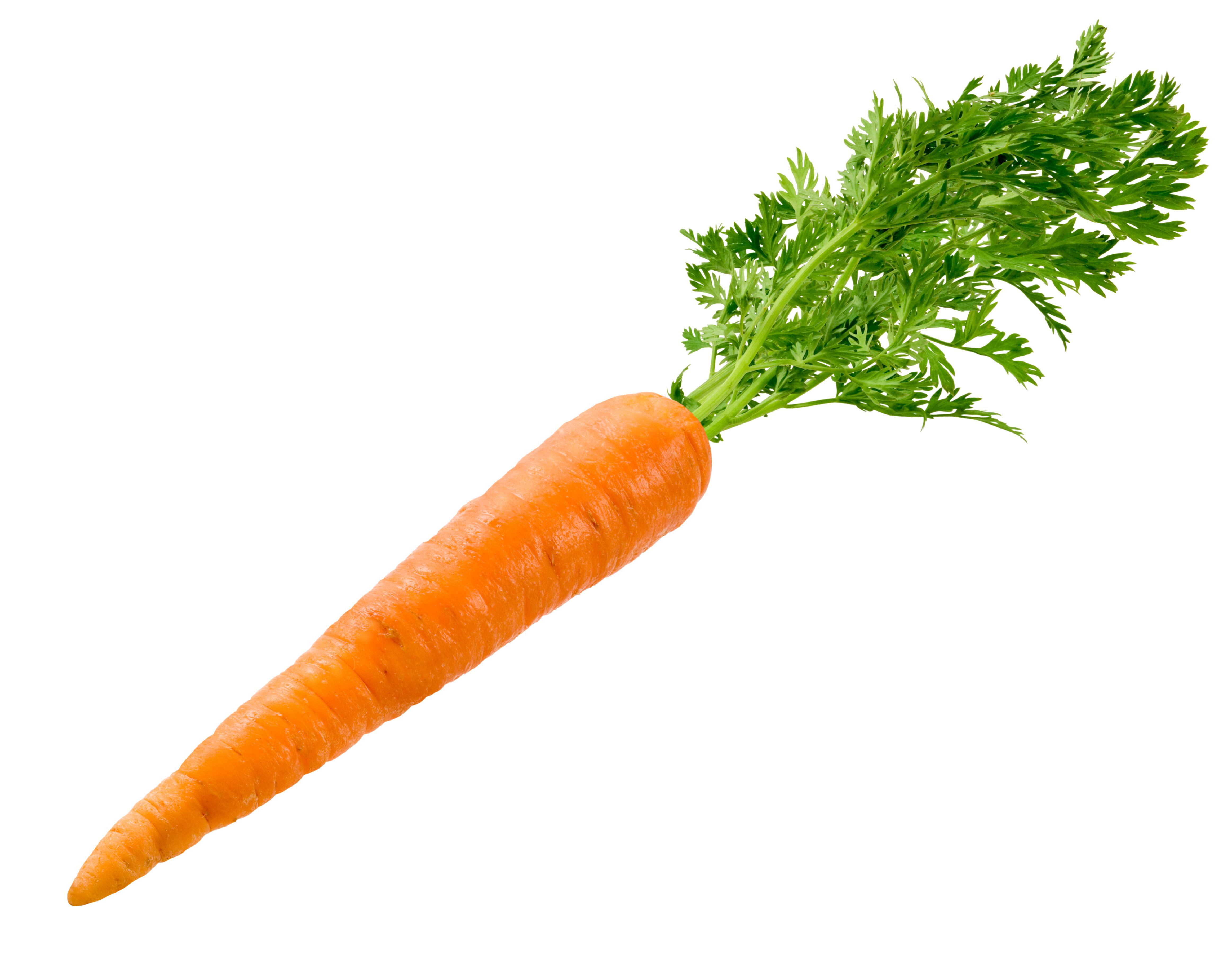 raw carrots
