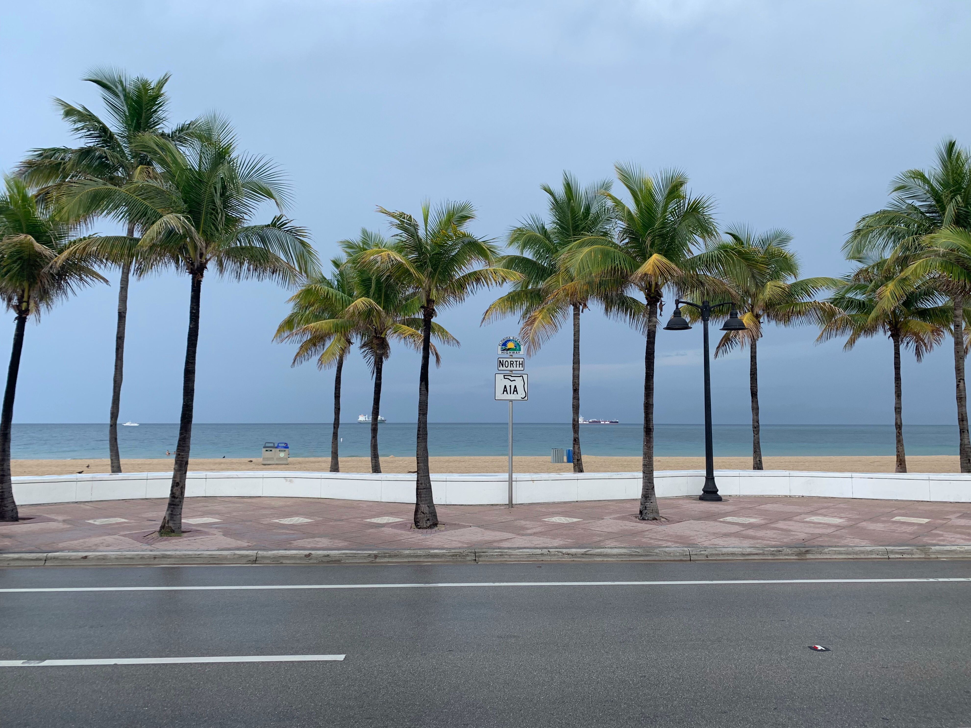 Florida digital marketing