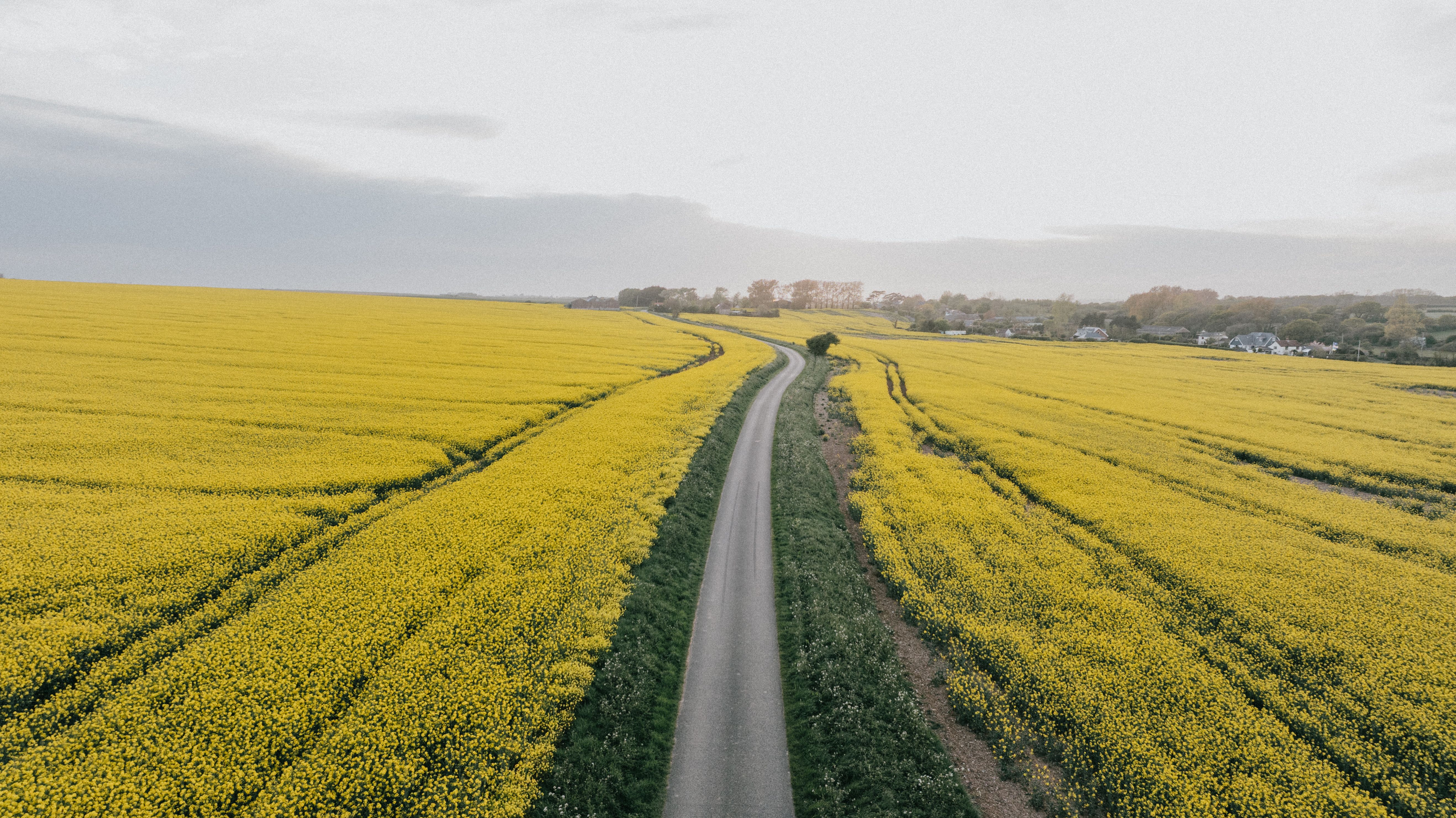 vertical farm Africa