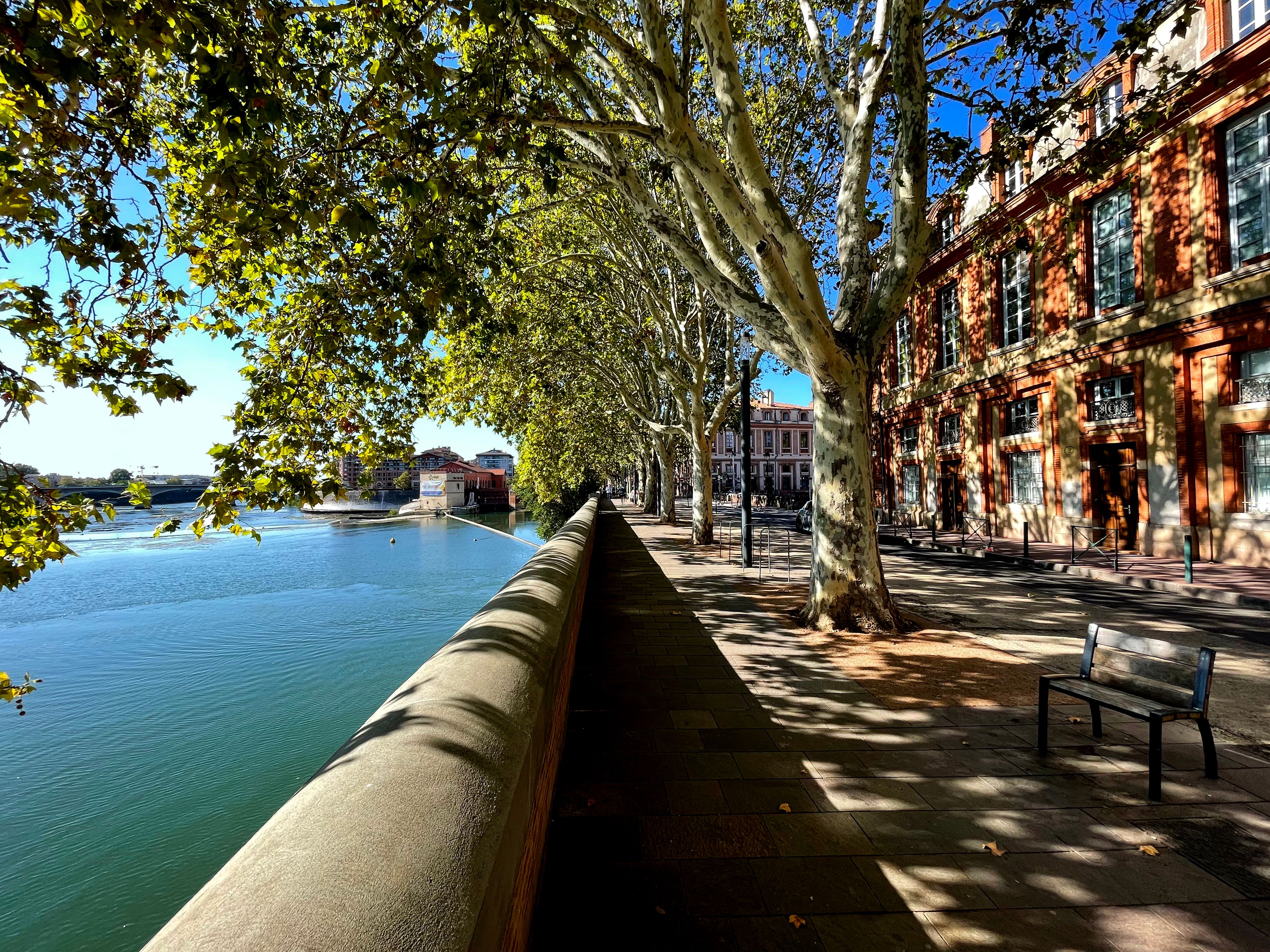 toulouse city