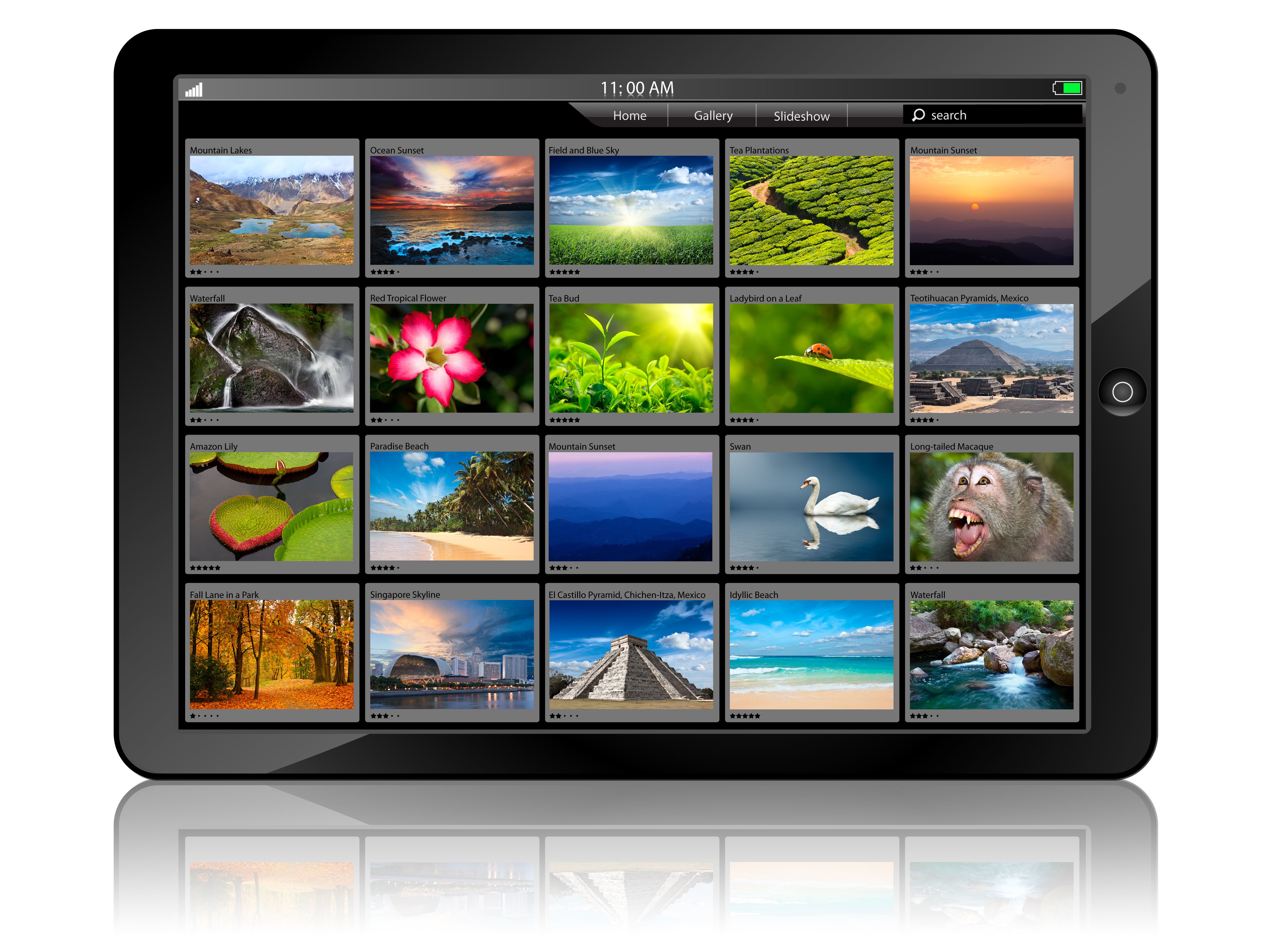 photo gallery