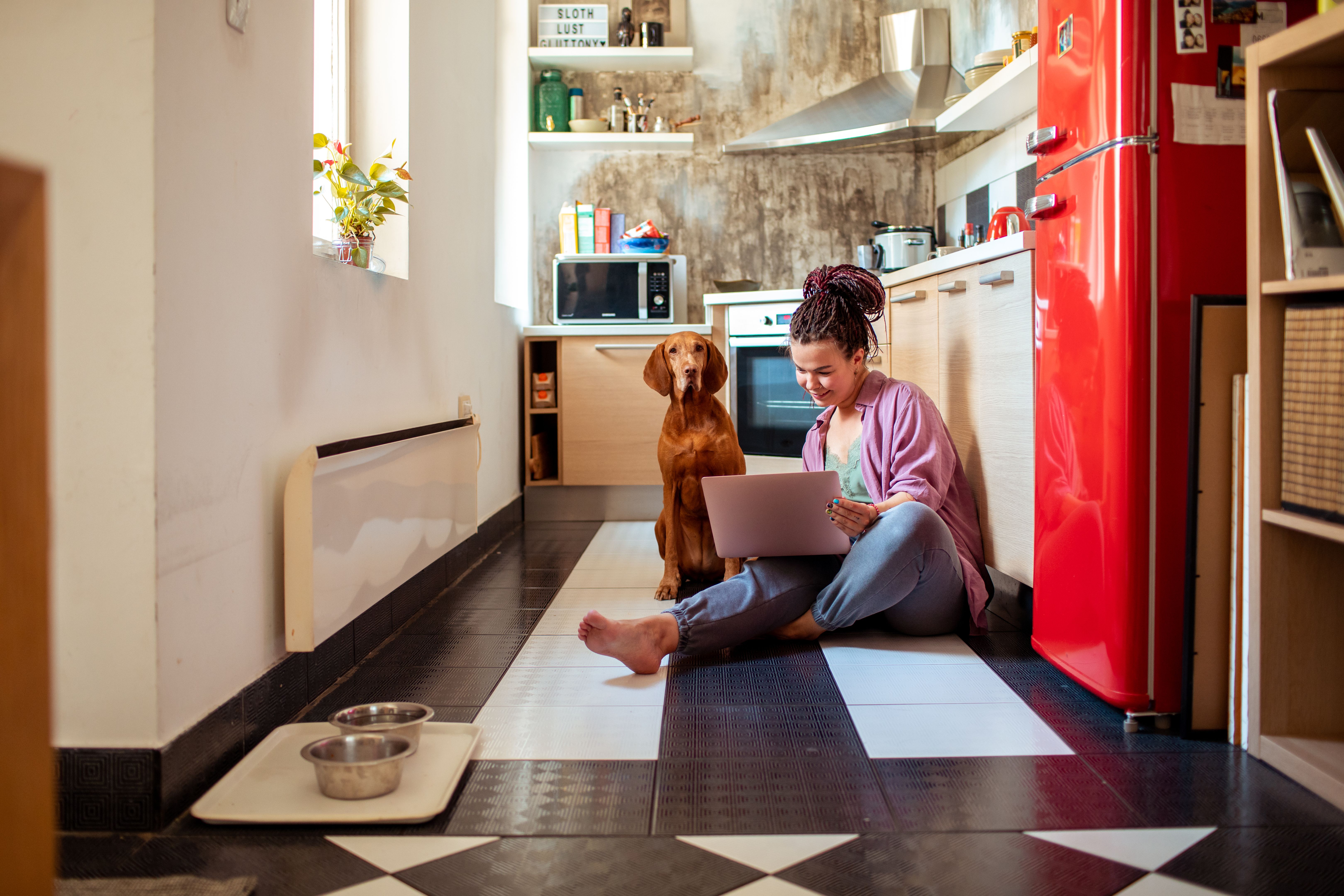Young adult woman using a laptop with her dog in the kitchen Young adult woman using a laptop with her dog in the kitchen
