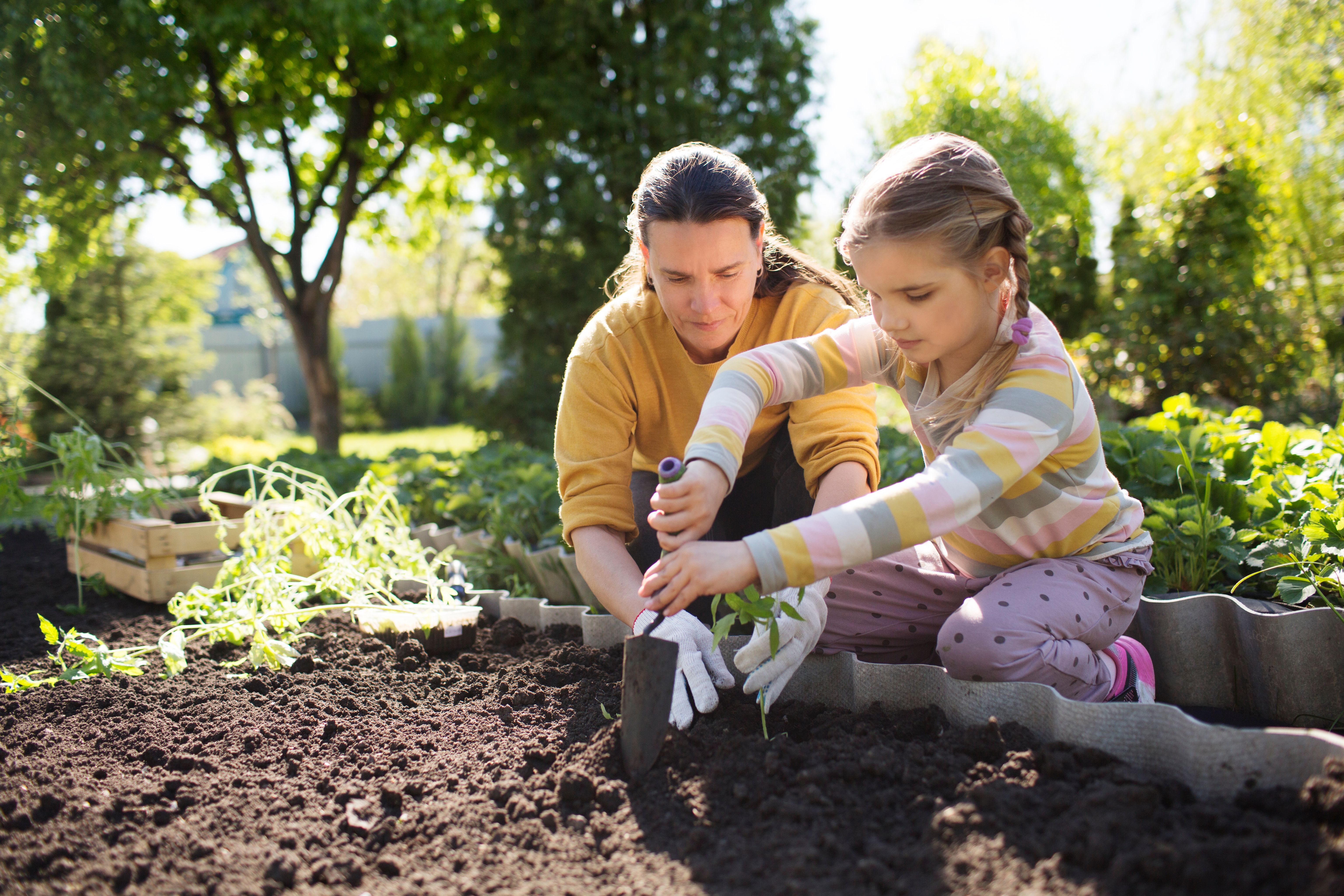 kids gardening