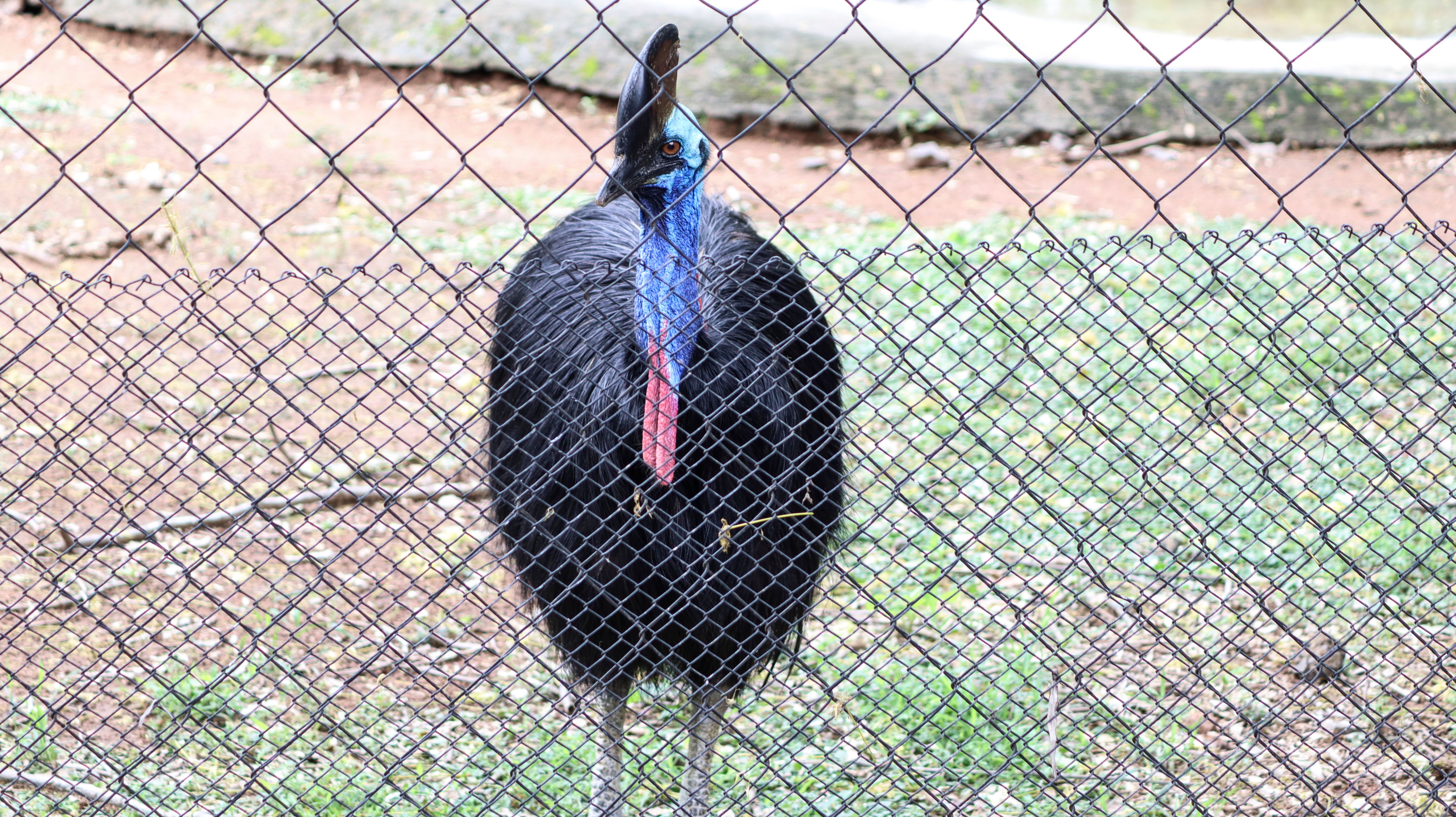 brisbane photographer