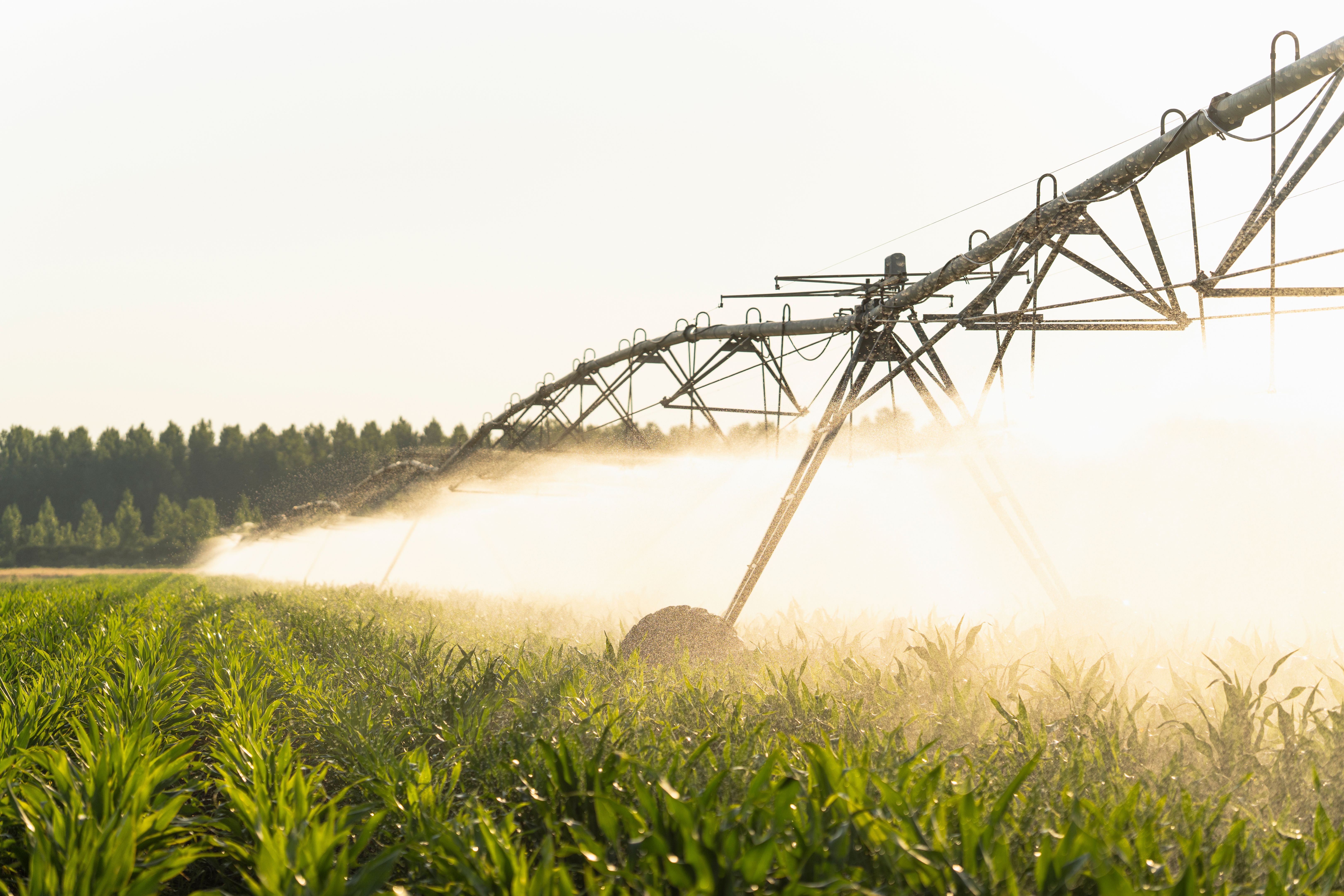 water management farm