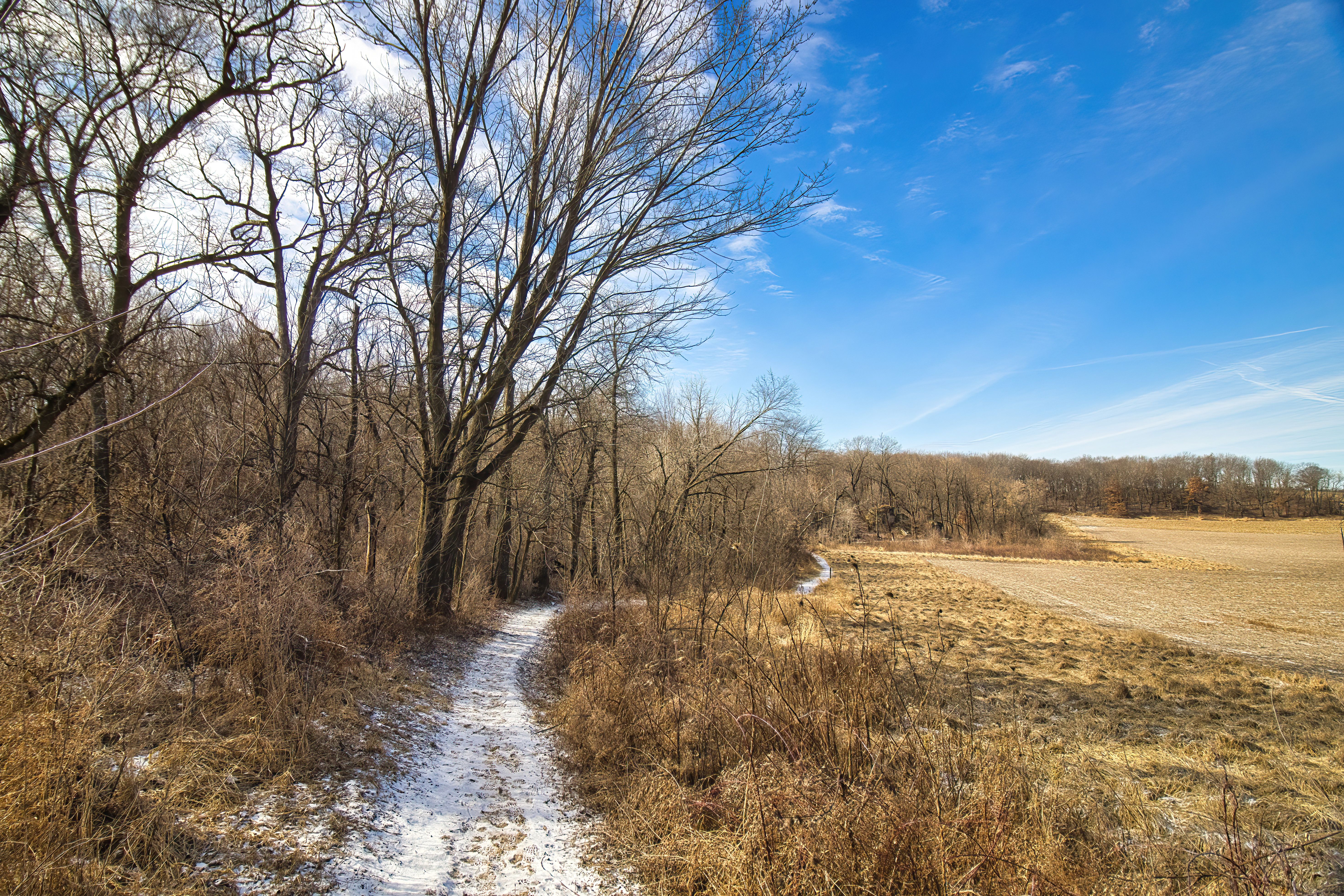 winter hiking trail