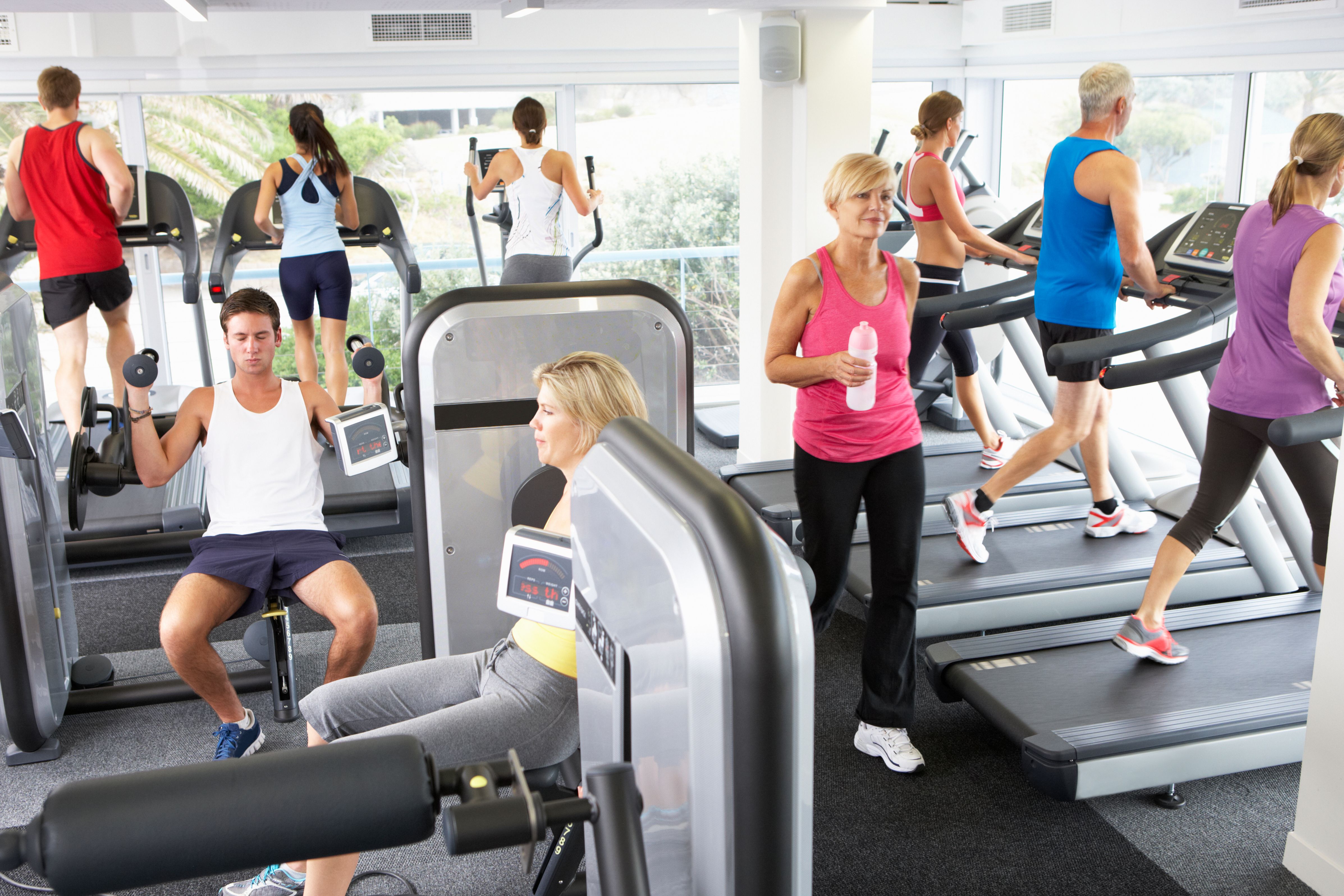 Elevated View Of Busy Gym With People Exercising On Machines