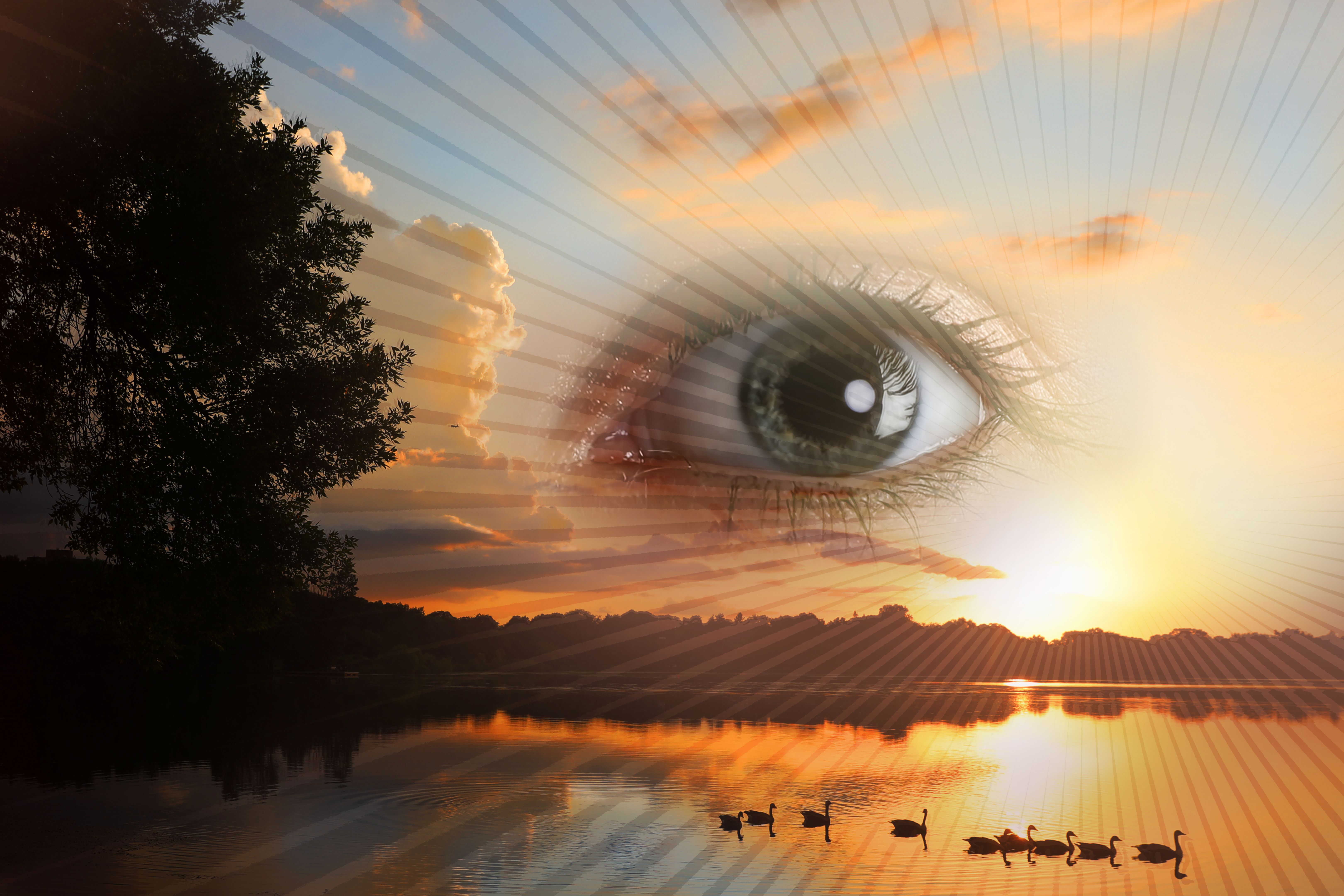 Multiple Exposure Third Eye morphing into Lake at sunset Multiple Exposure Third Eye morphing into Lake at sunset