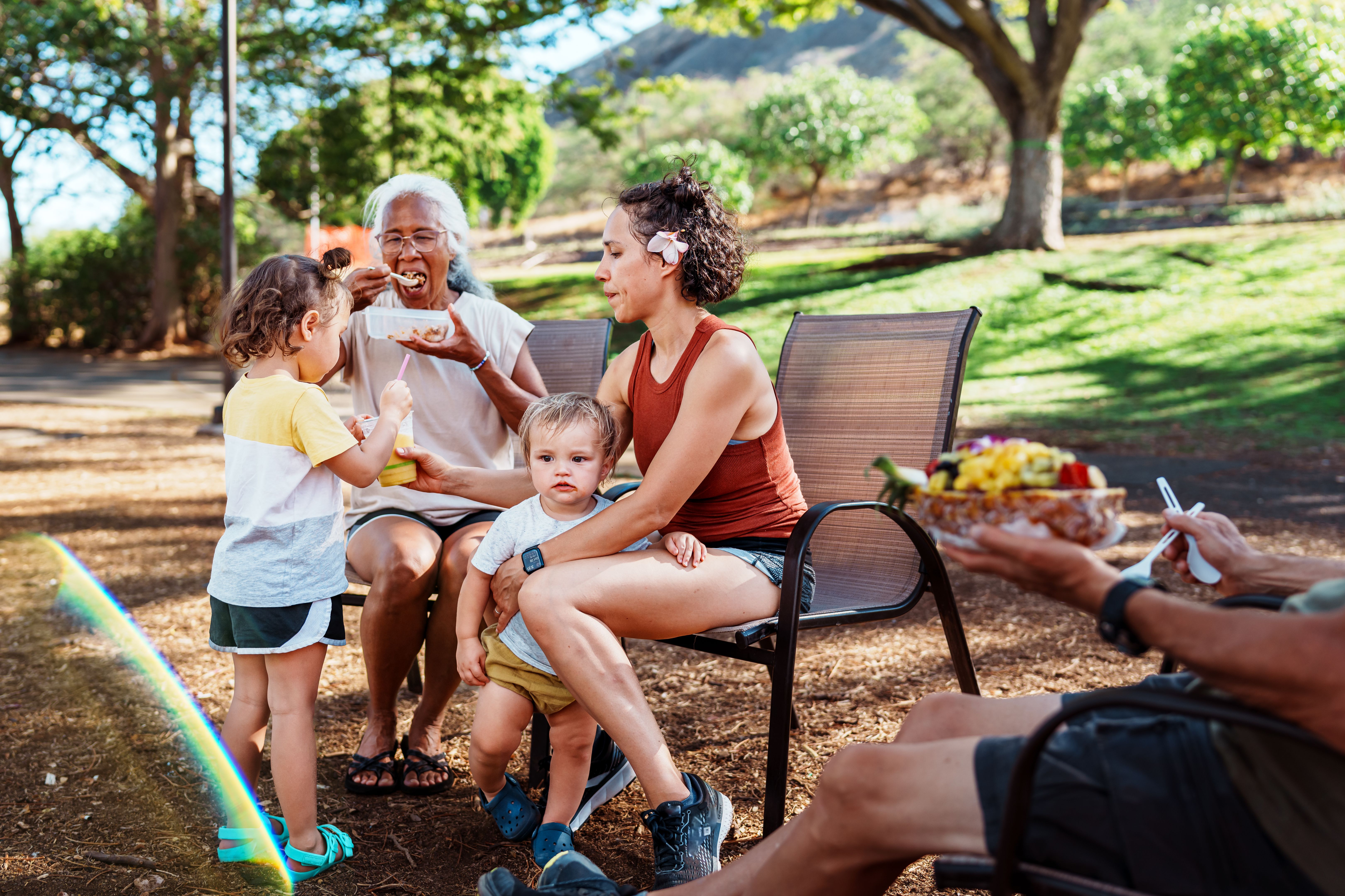 happy family picnic