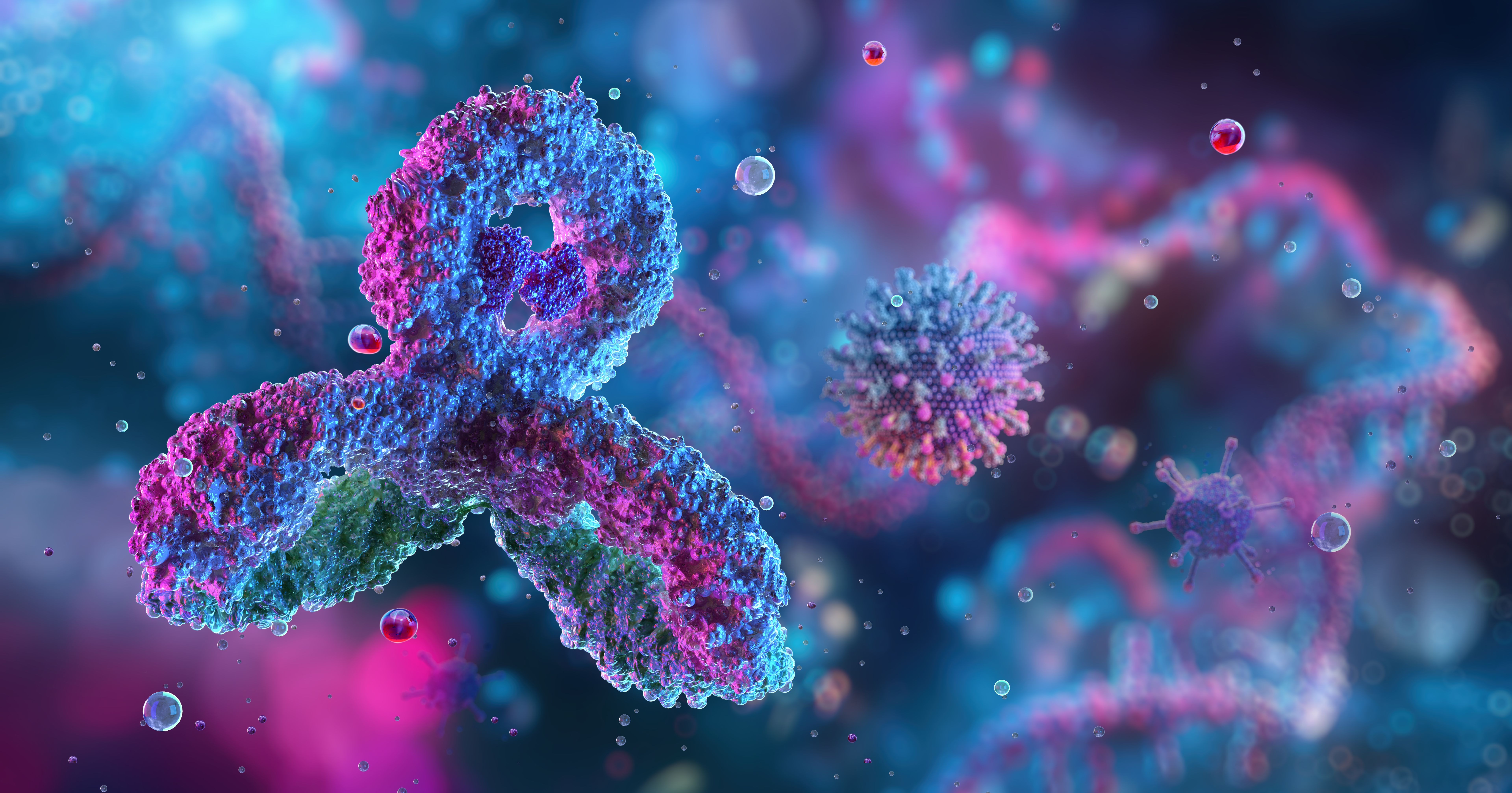 immune system