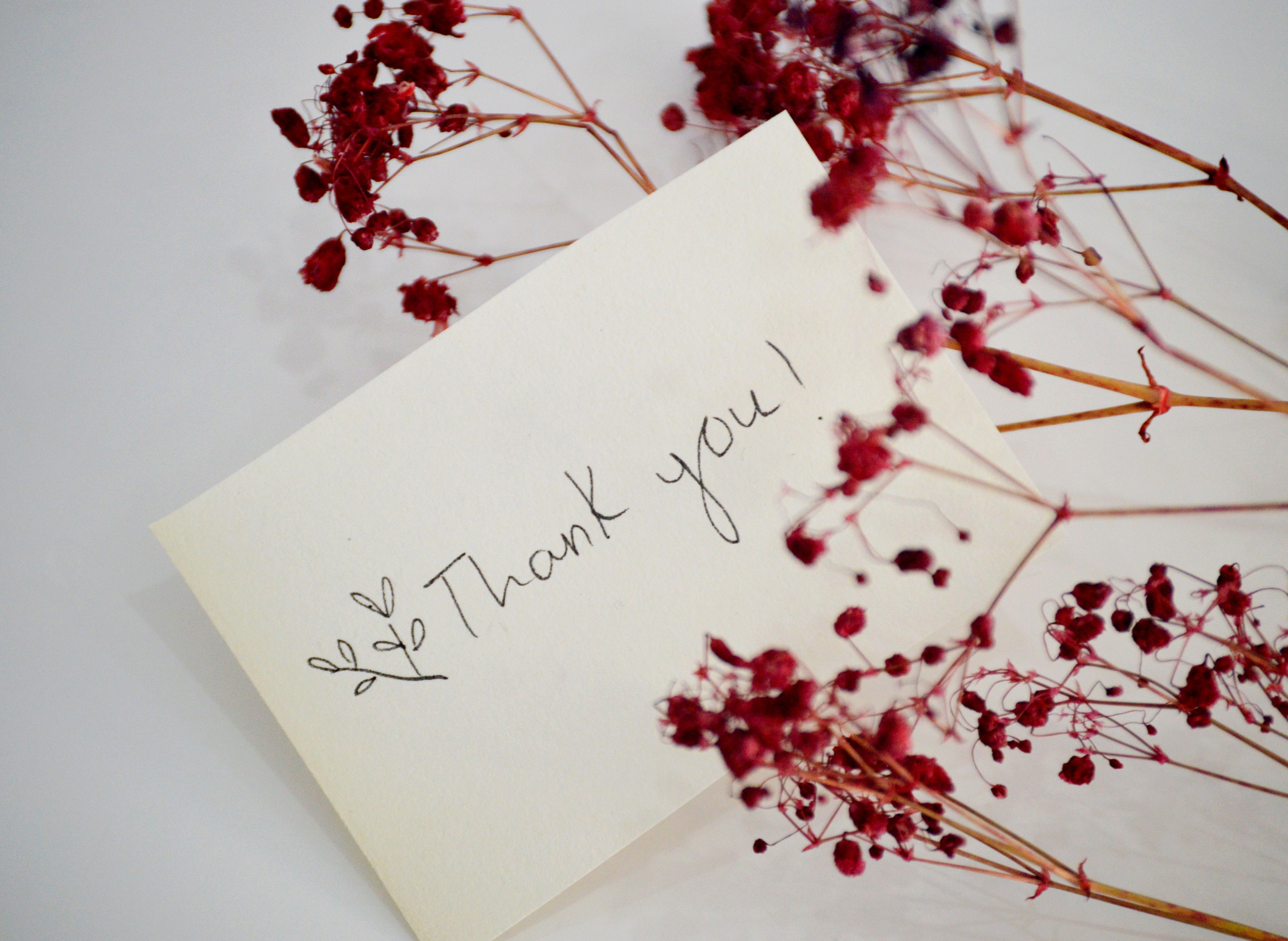 thank you notes