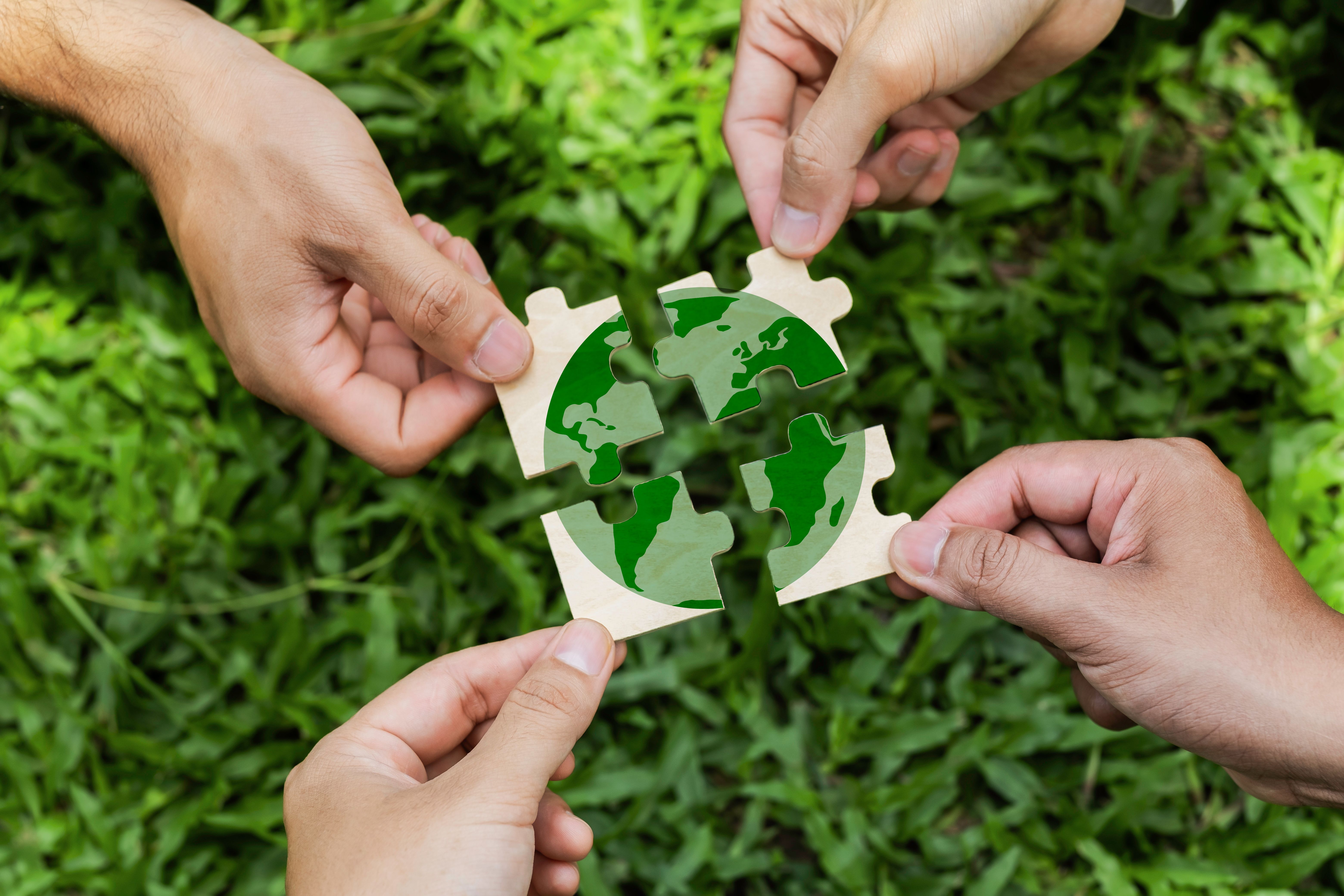 eco friendly events