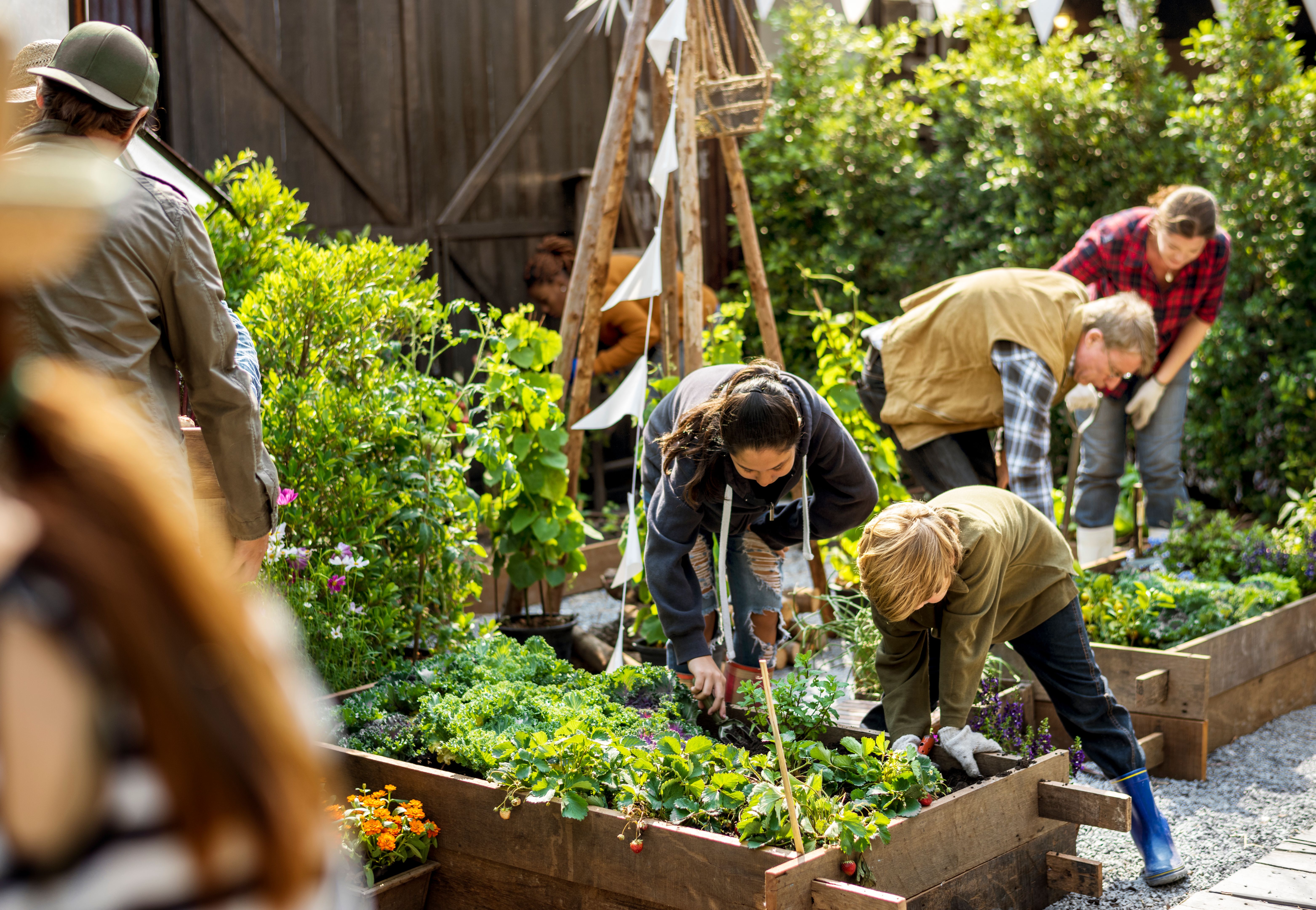 group gardening