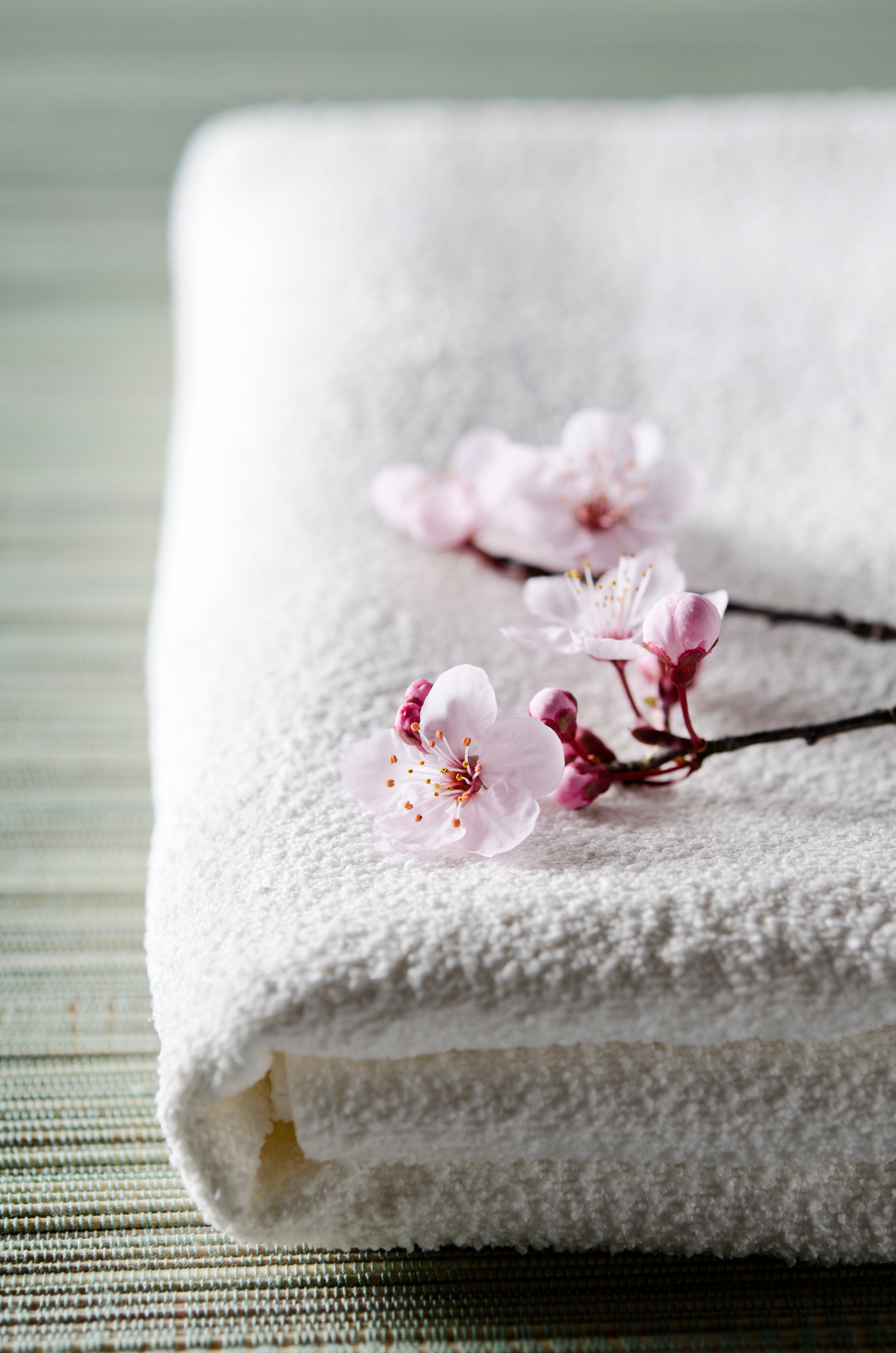 Zen Concept with Towel and Cherry Blossoms