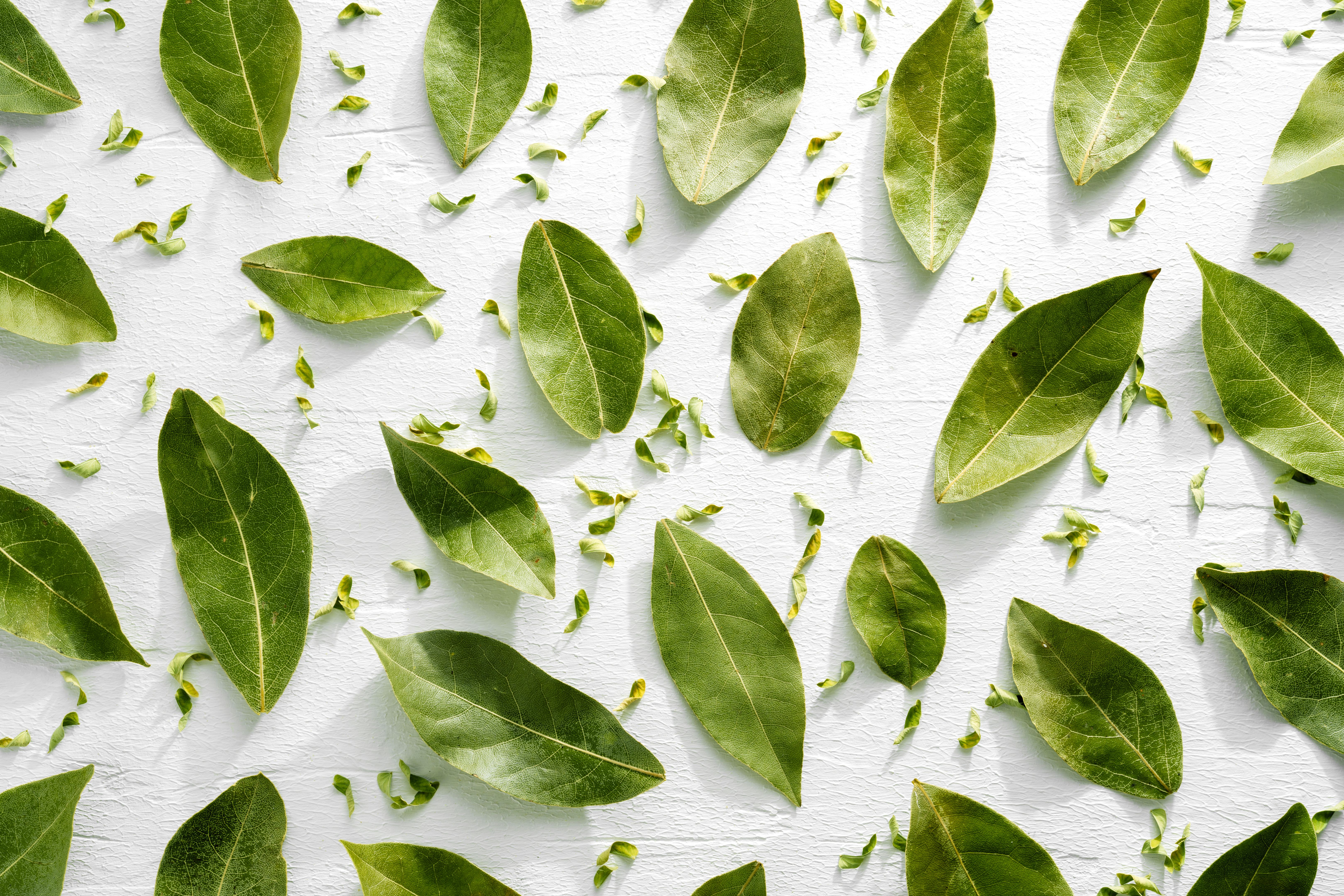 organic certification