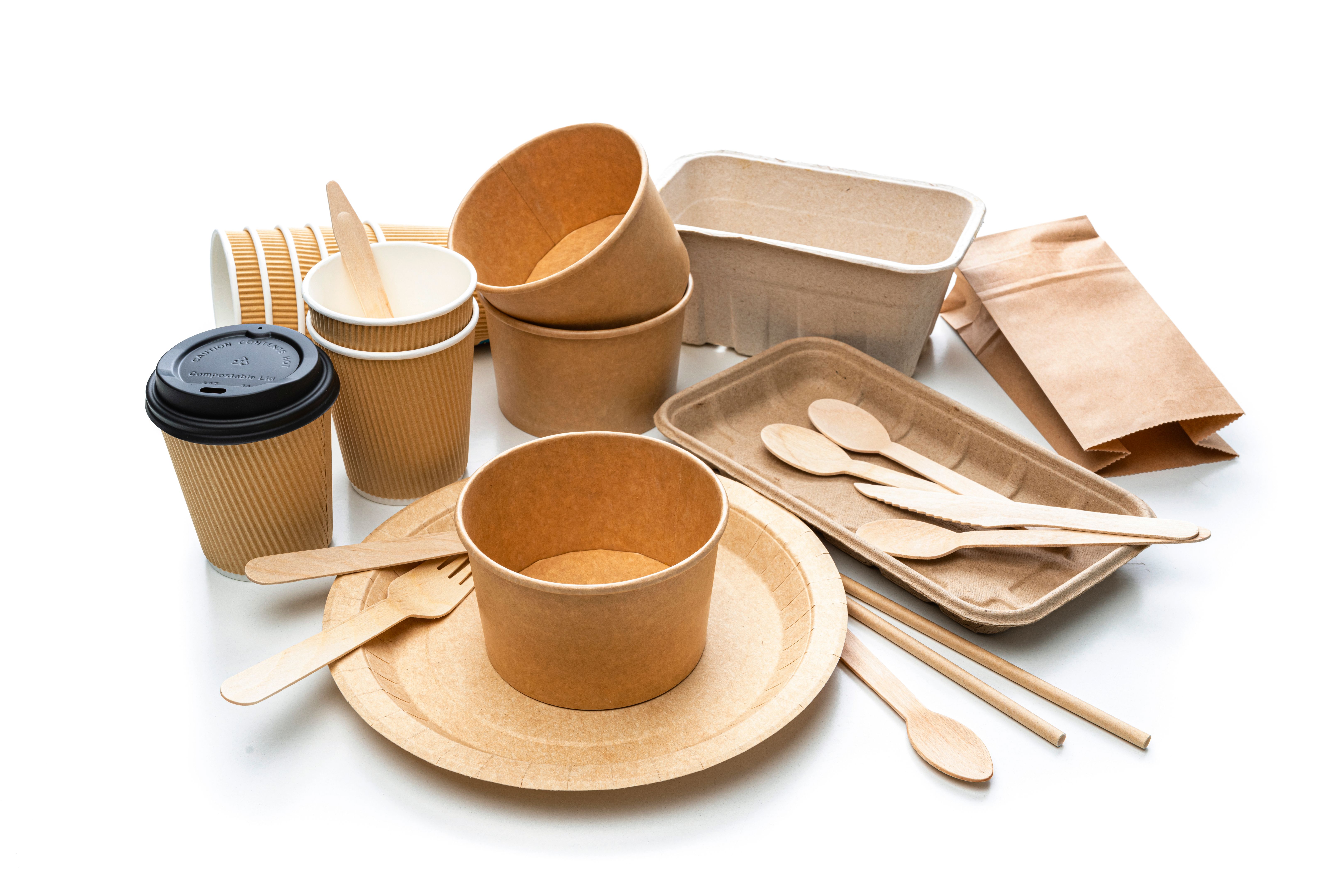 disposable dinnerware styles