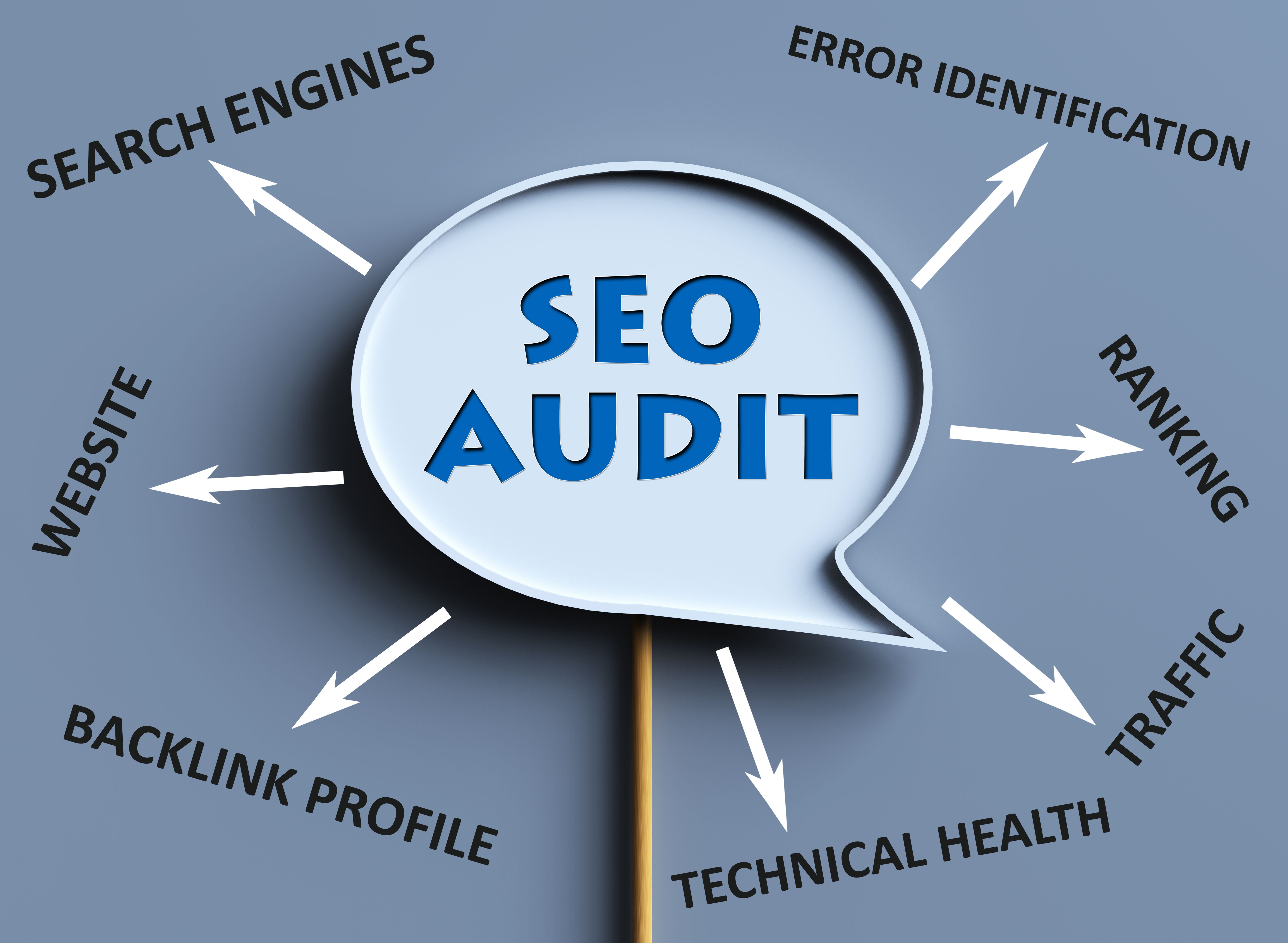 website audit
