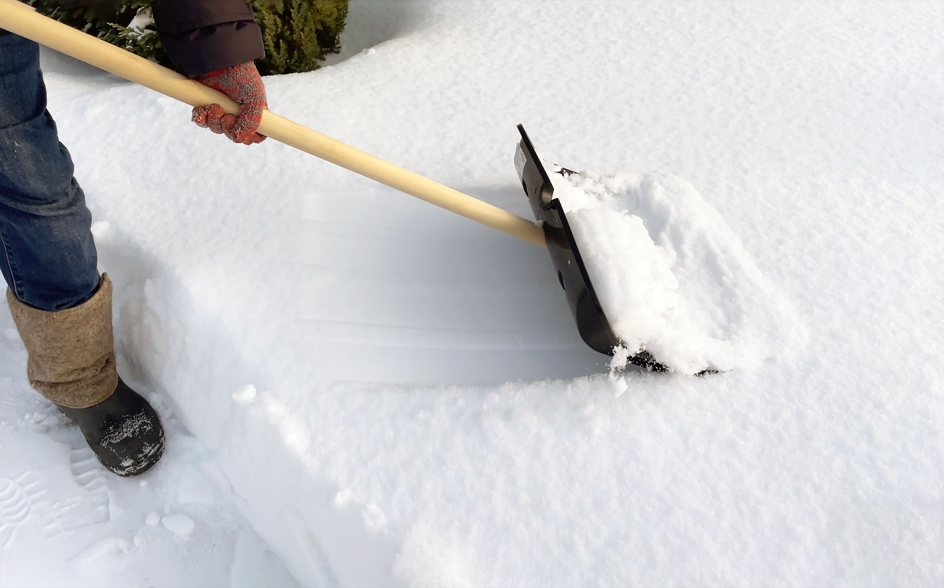 snow shovel