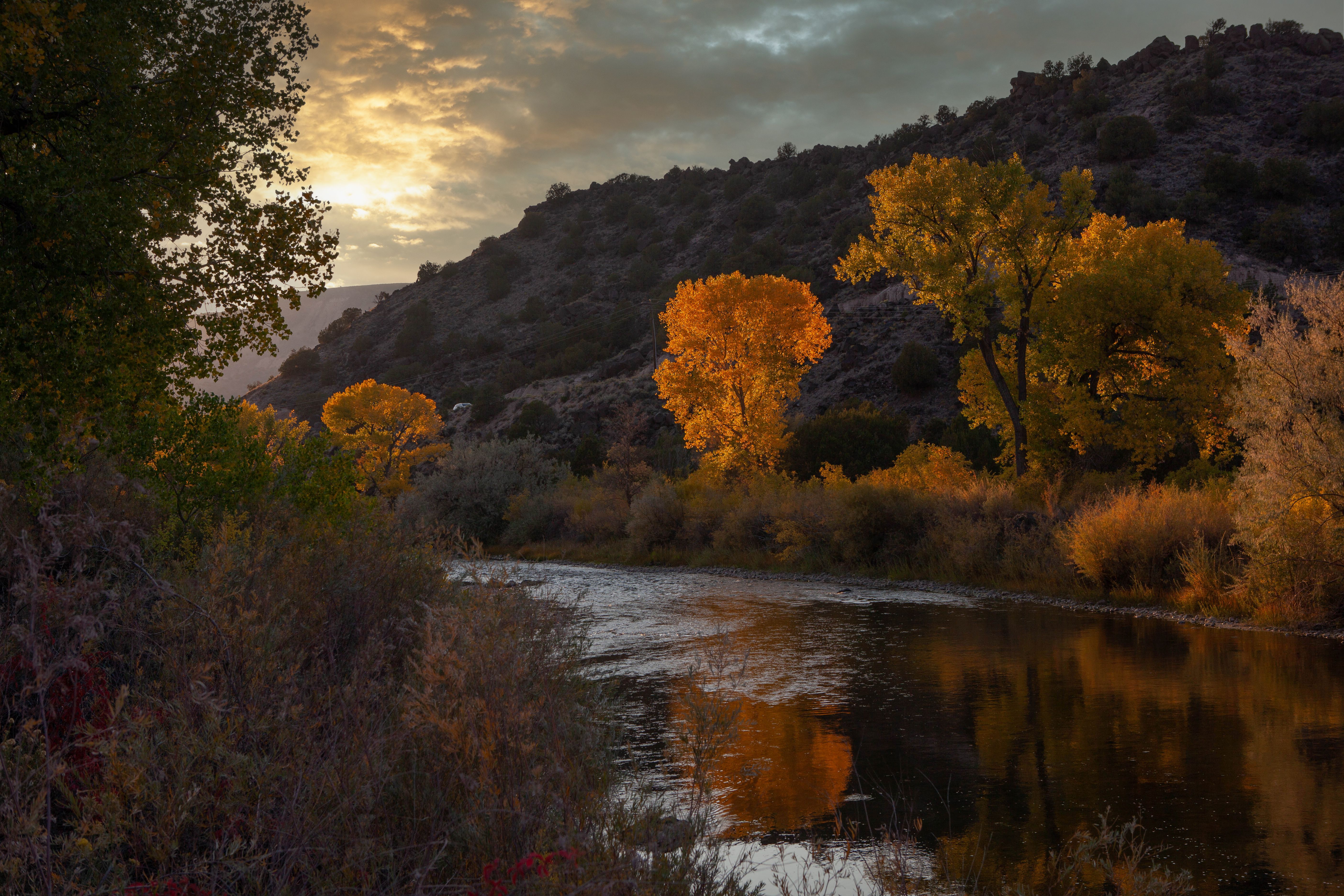 rio arriba landscape