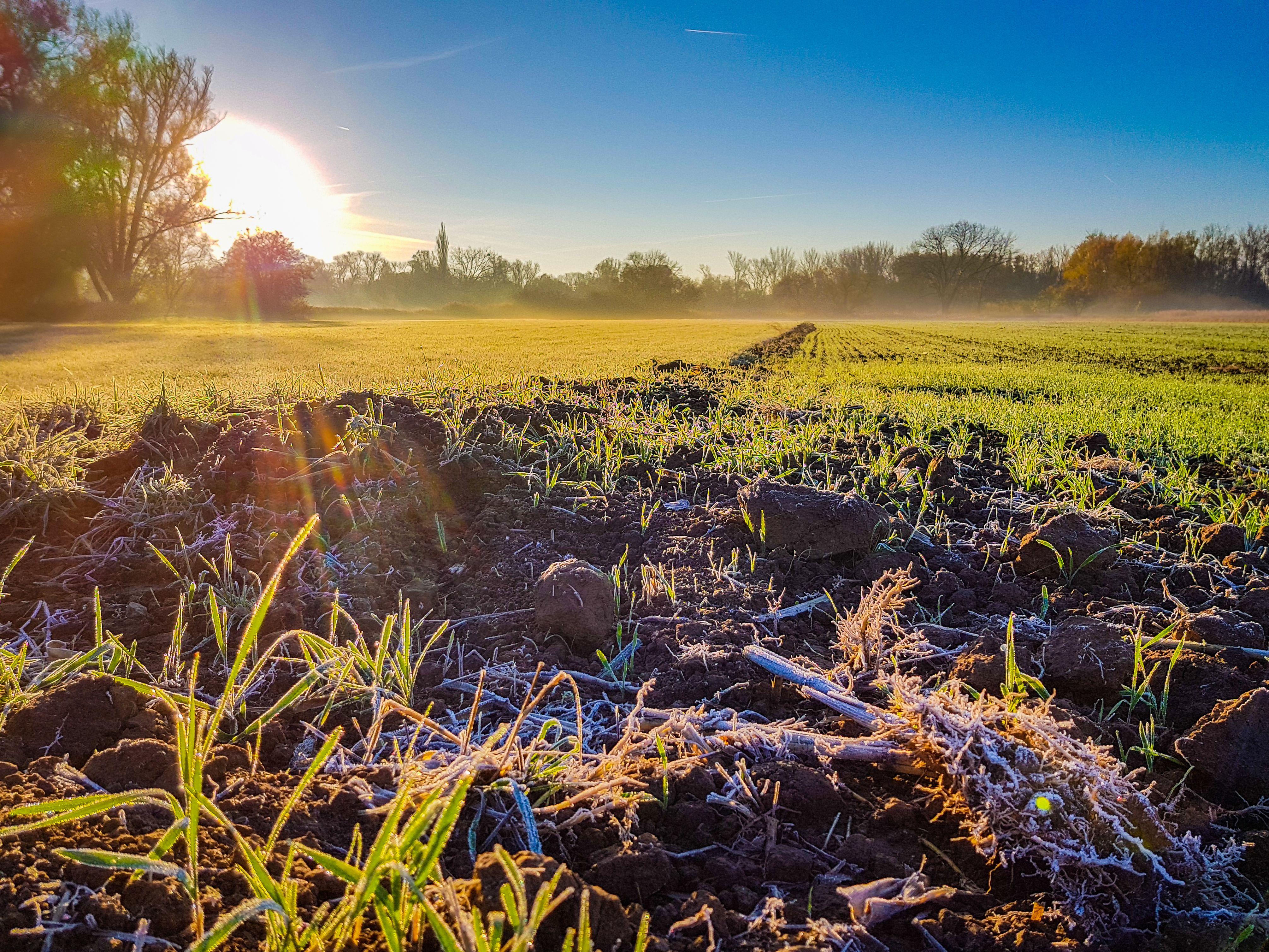 frühmorgen schaufeln