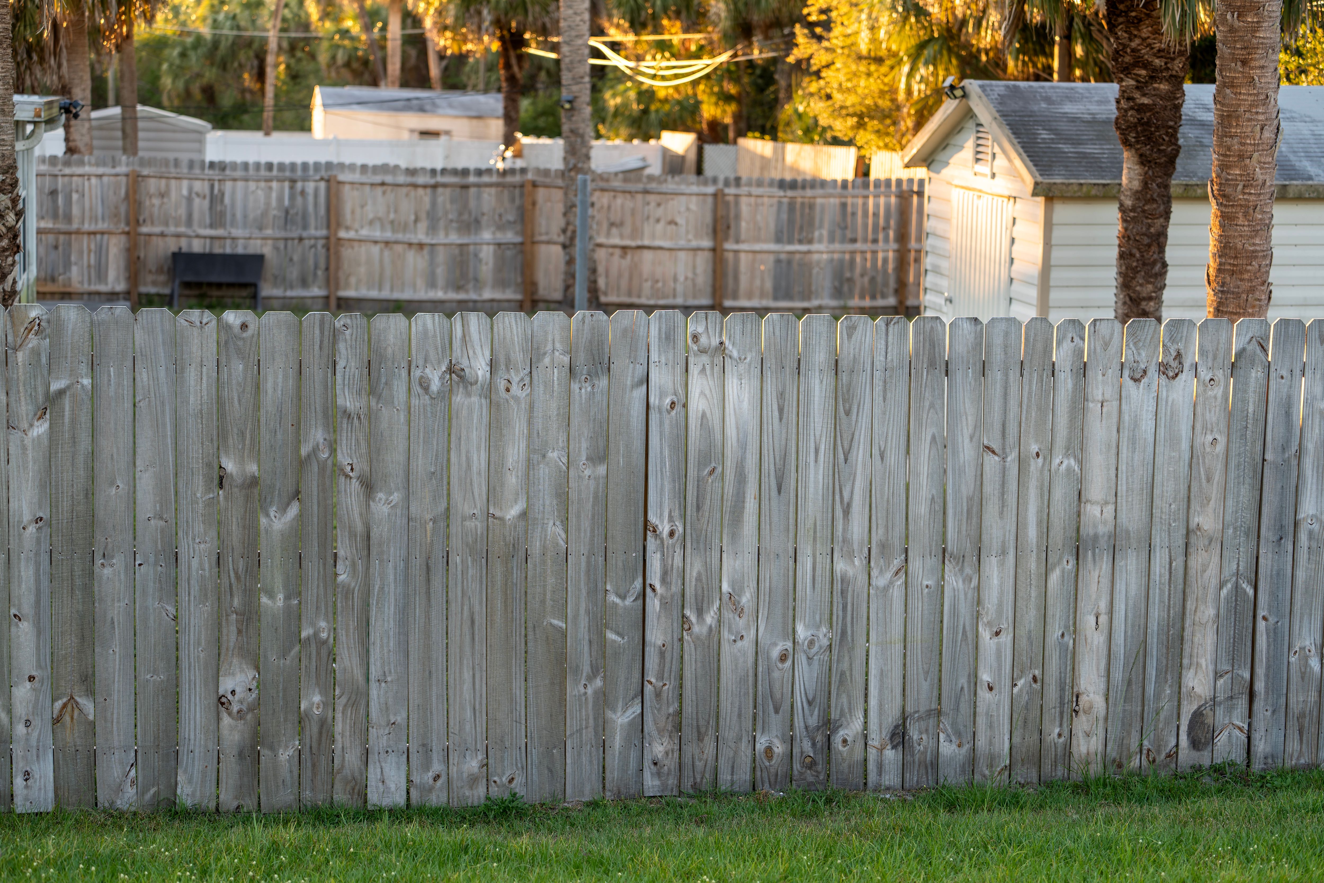 fence pest inspection