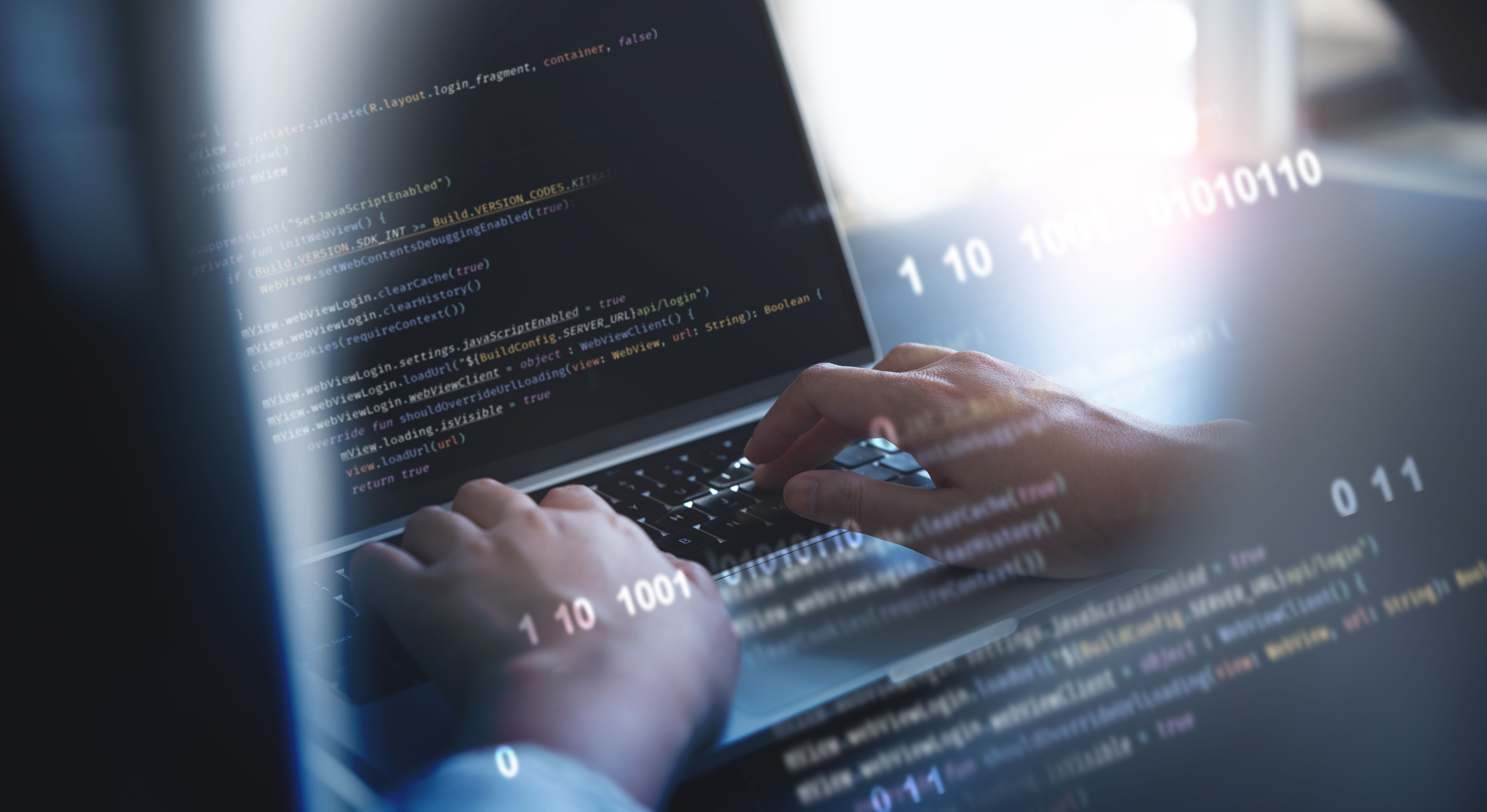 software development