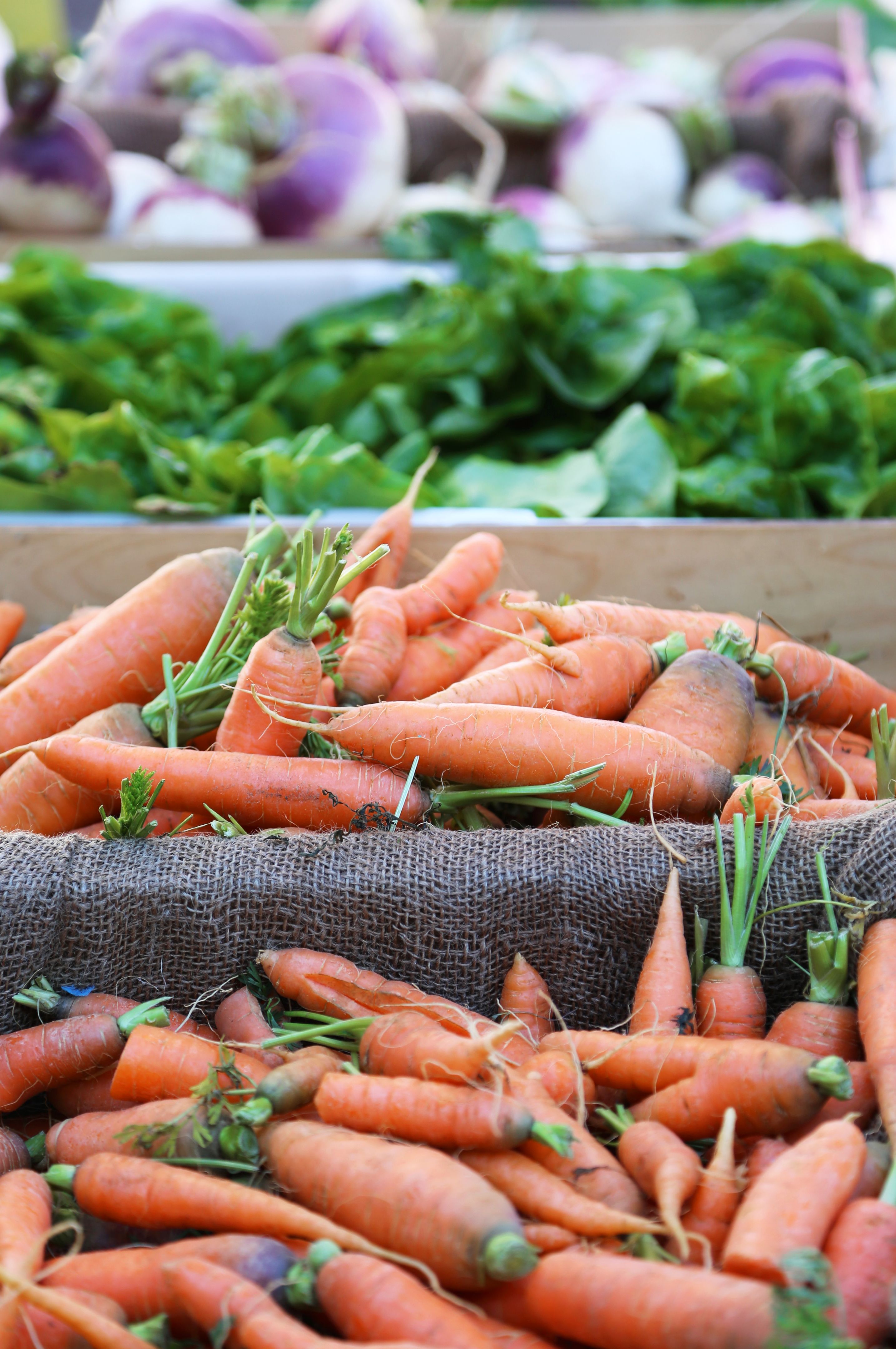 community garden new mexico