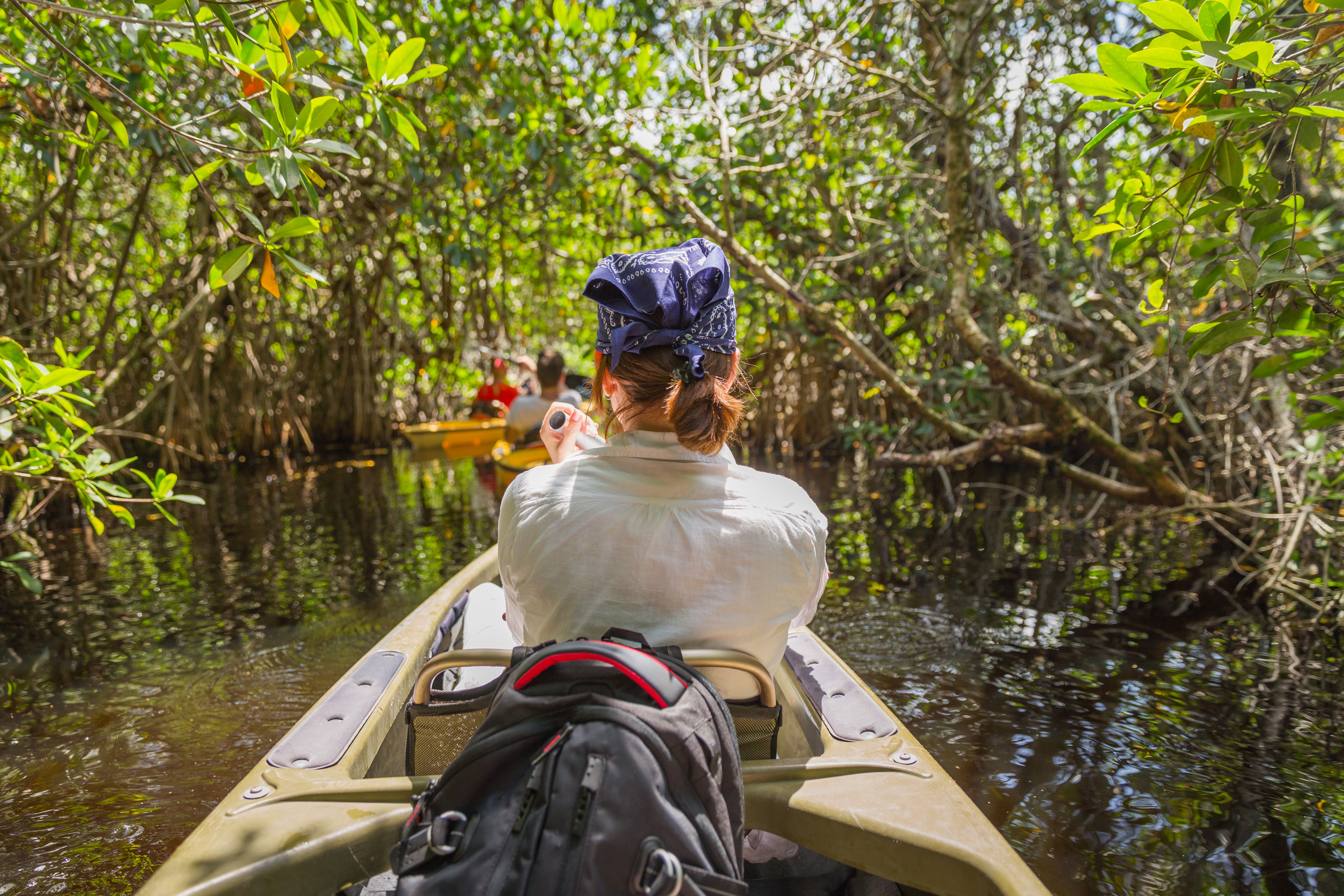 mangrove kayaking