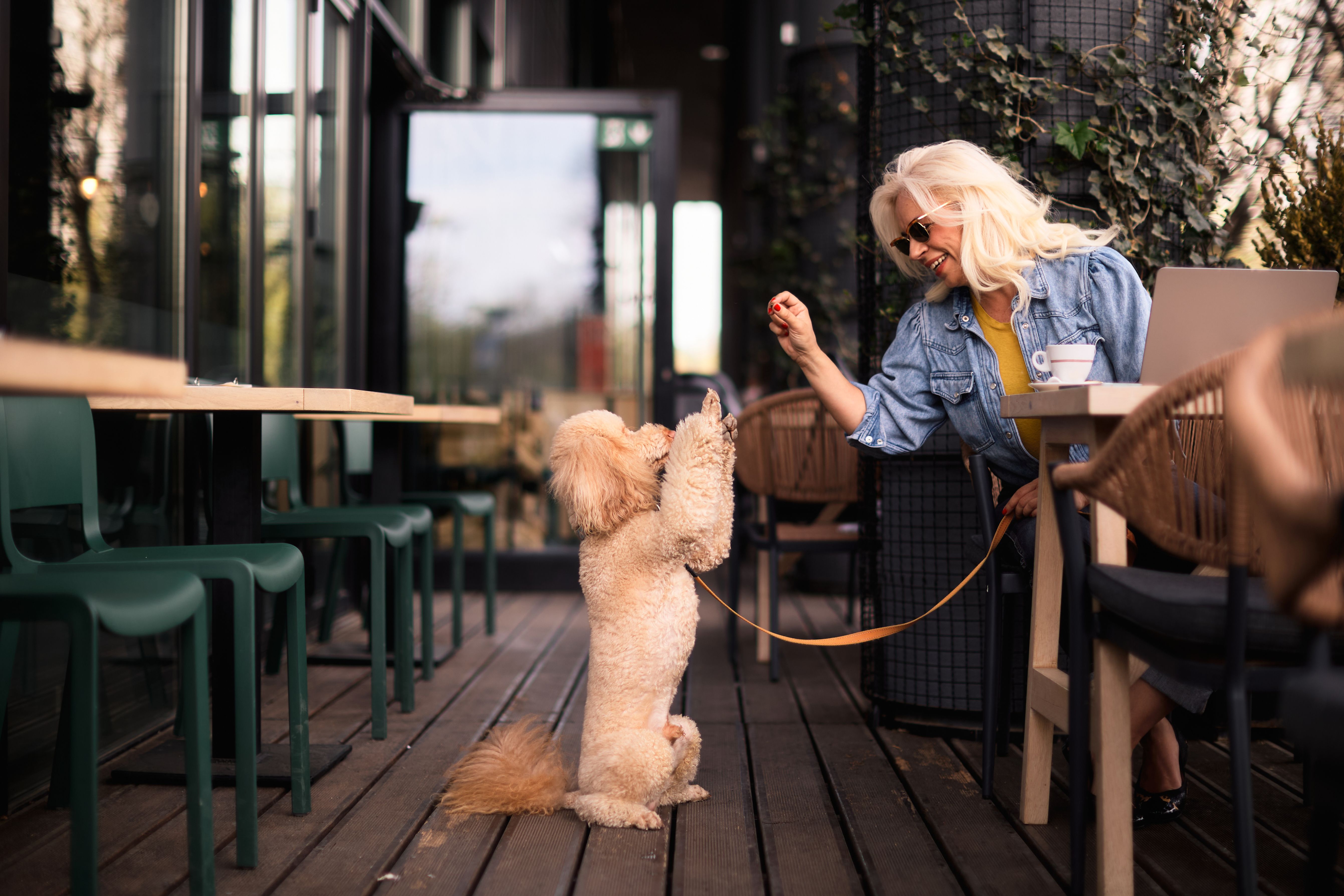 restaurant compliance