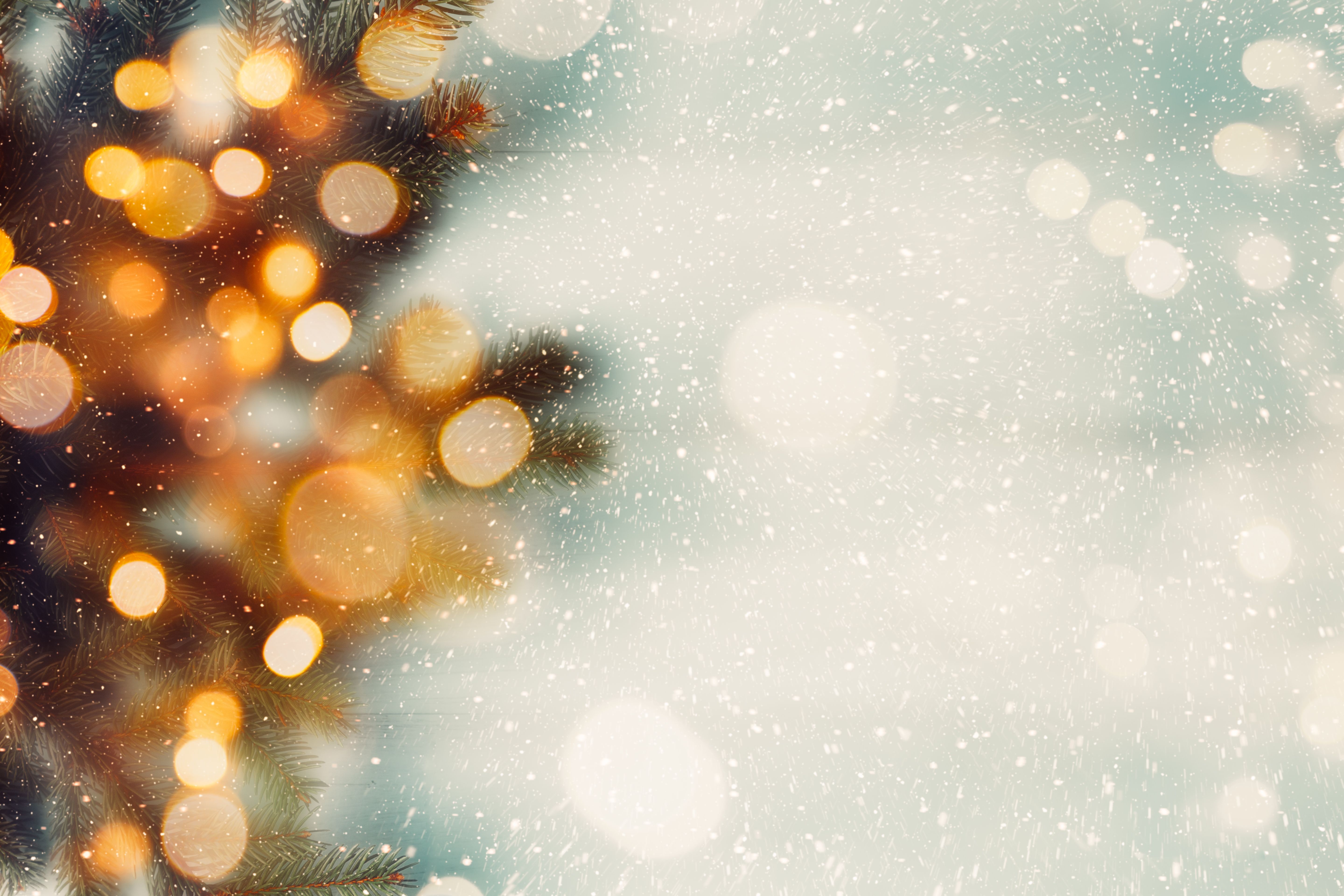 seasonal celebration