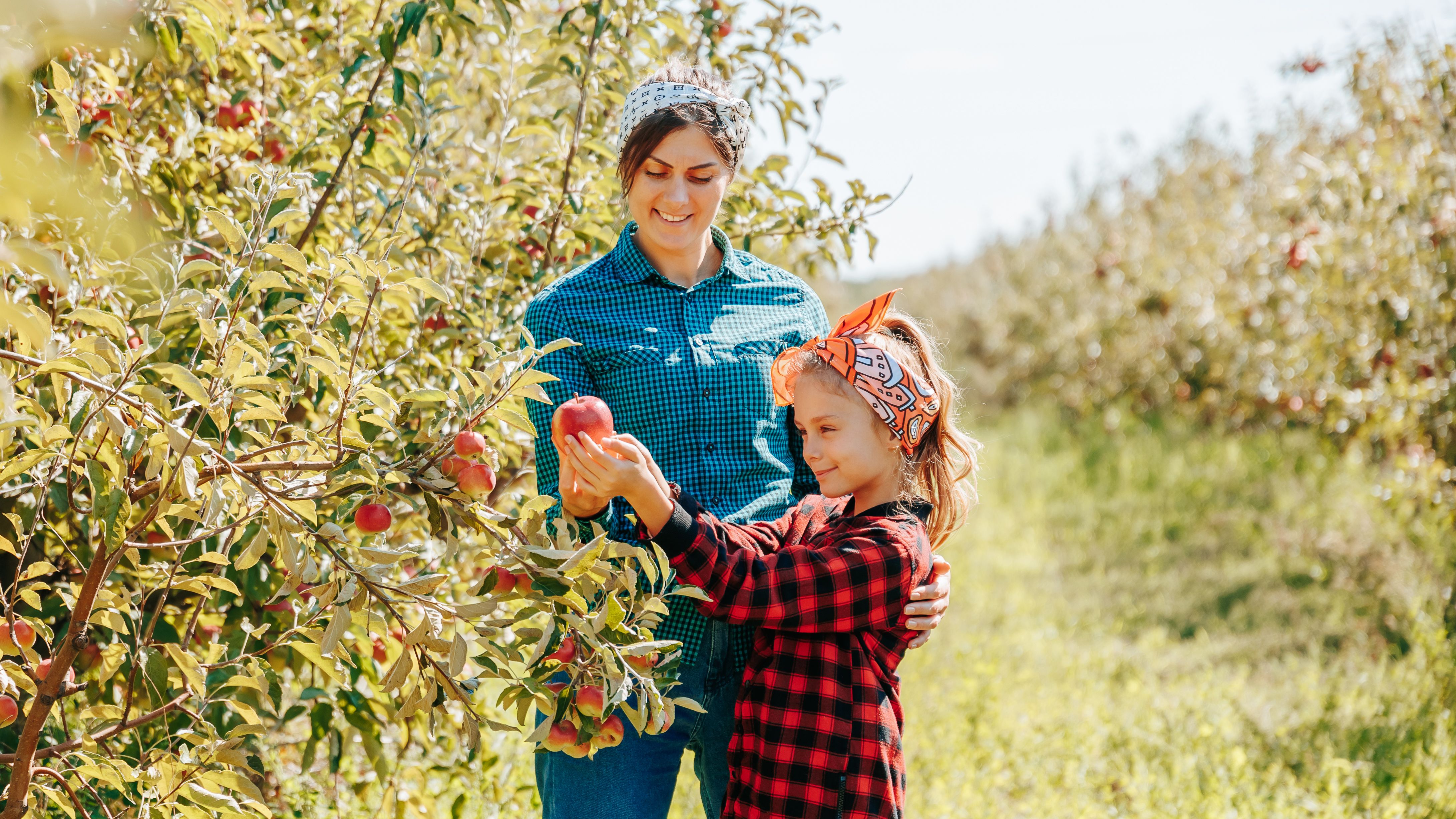 family picking