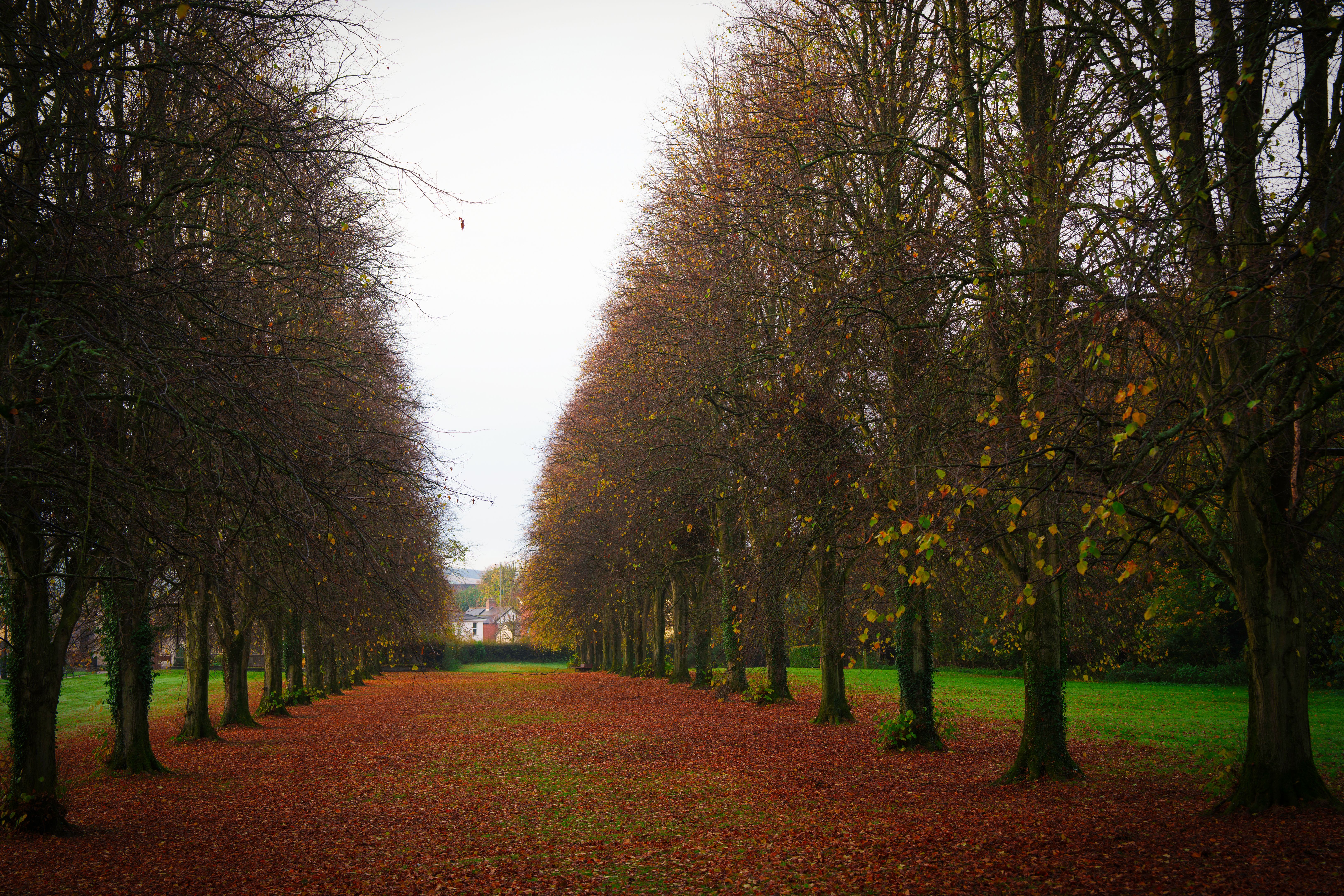 autumn wedding ireland
