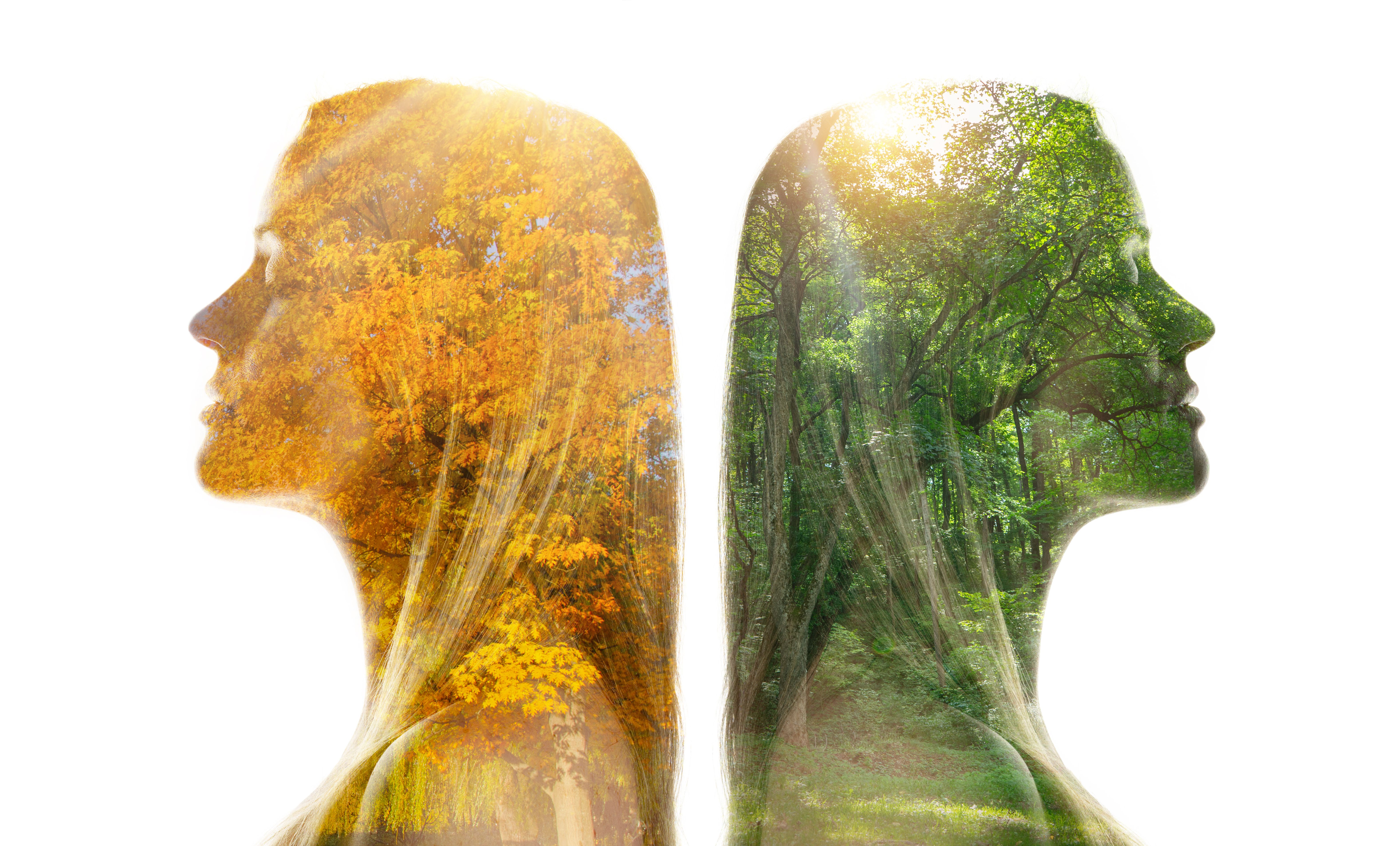 Ecology and nature protection concept.