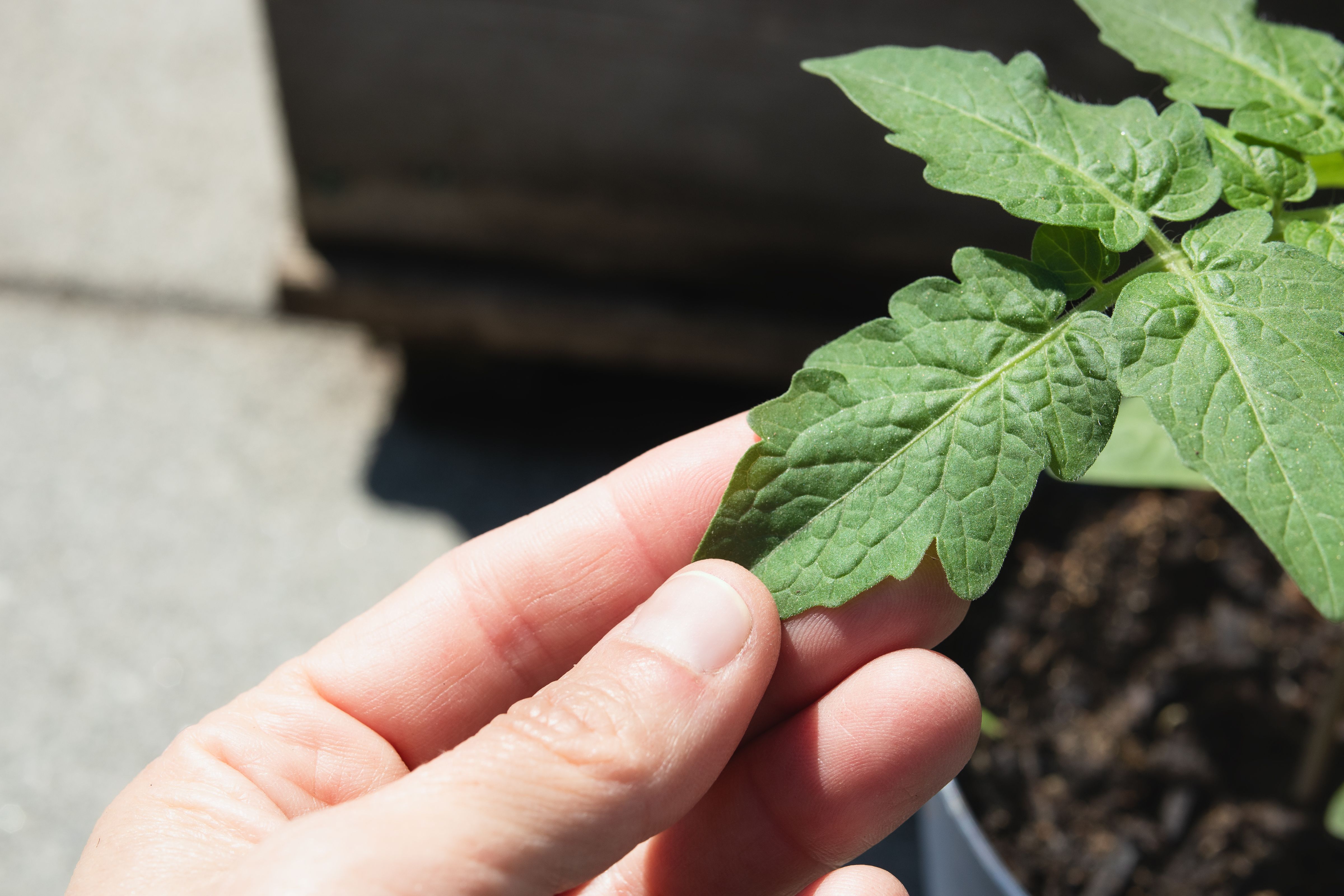 fence post inspection