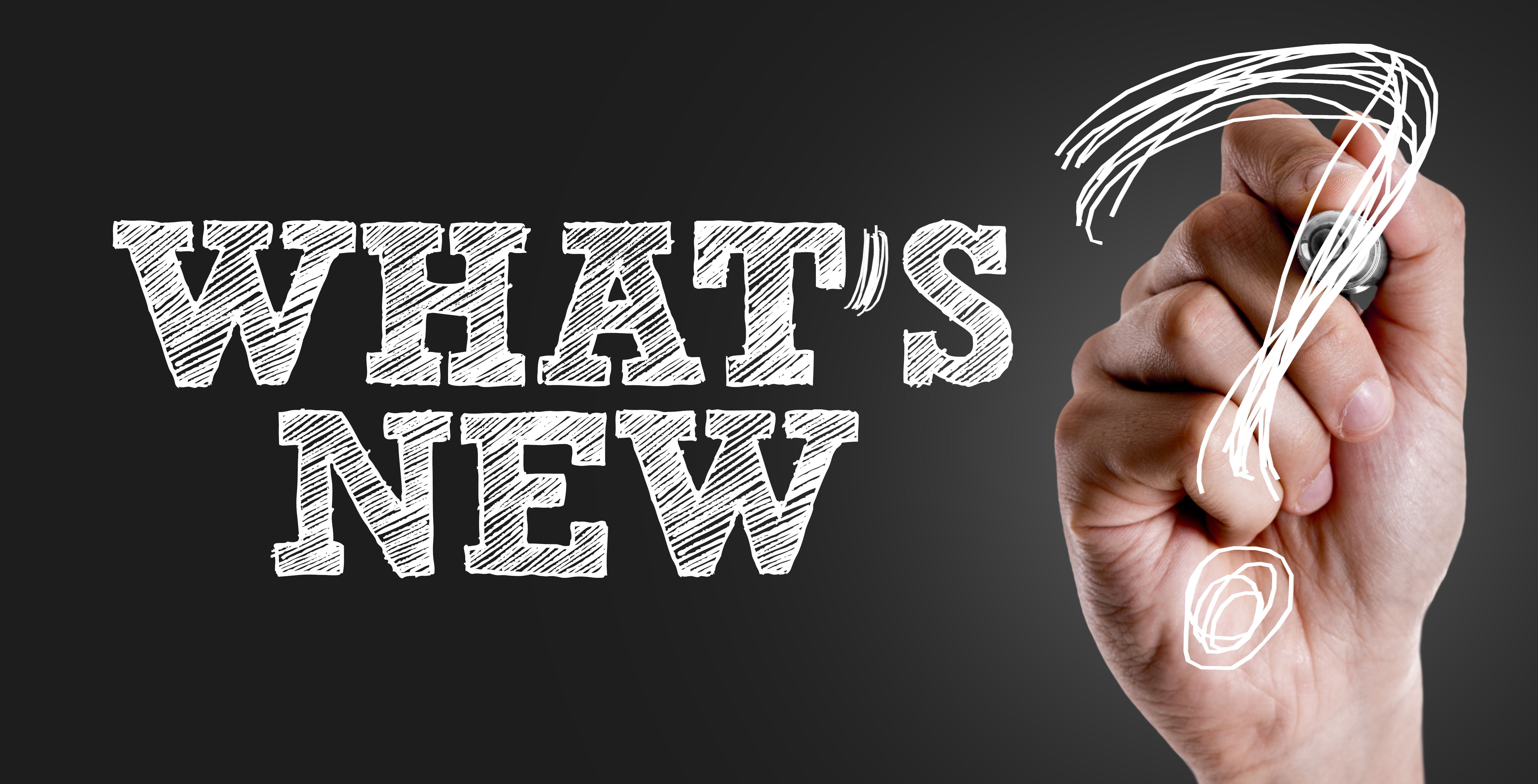 program launch event