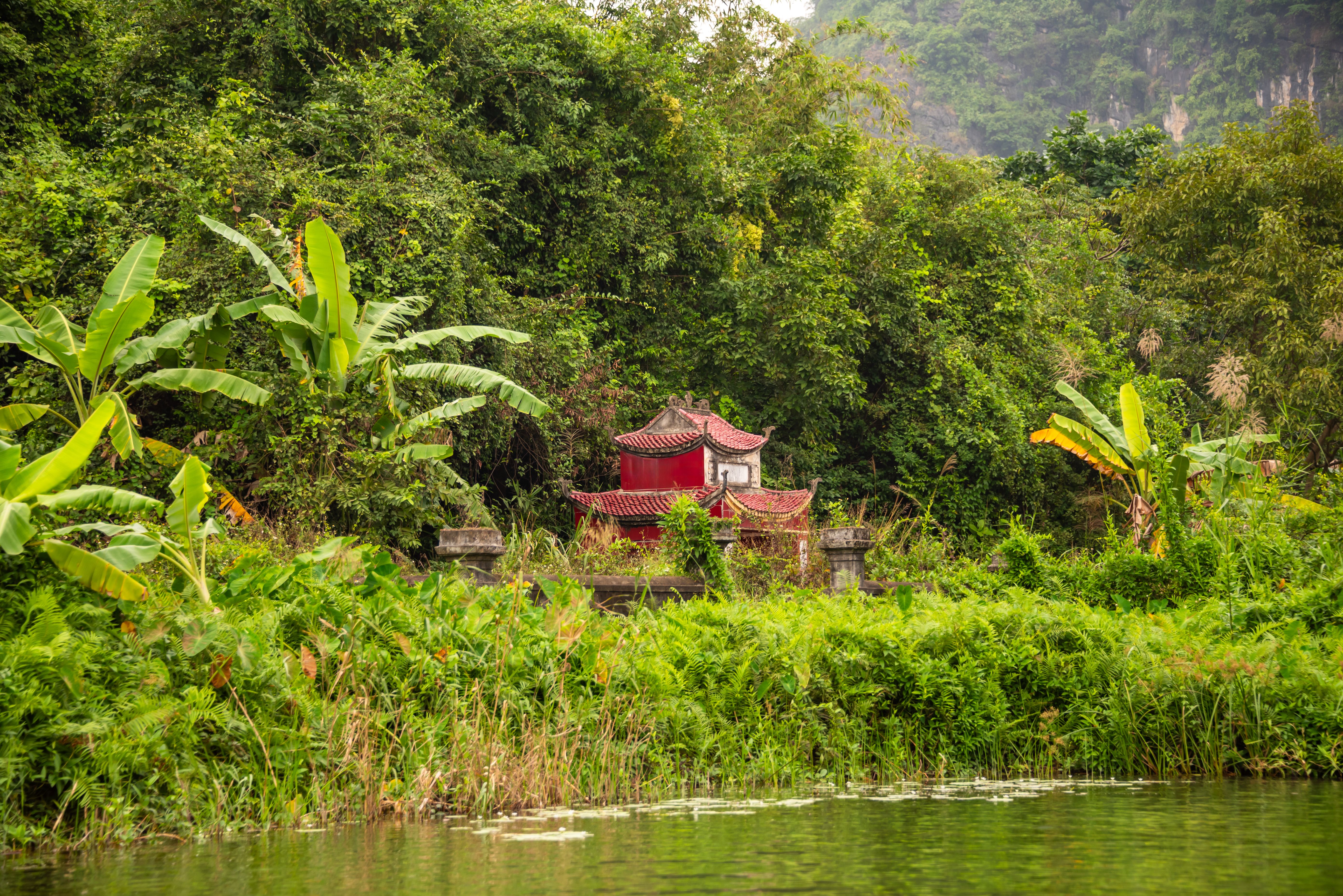 Lush vegetation and beautiful asian landscape at river in Ninh Binh, Vietnam