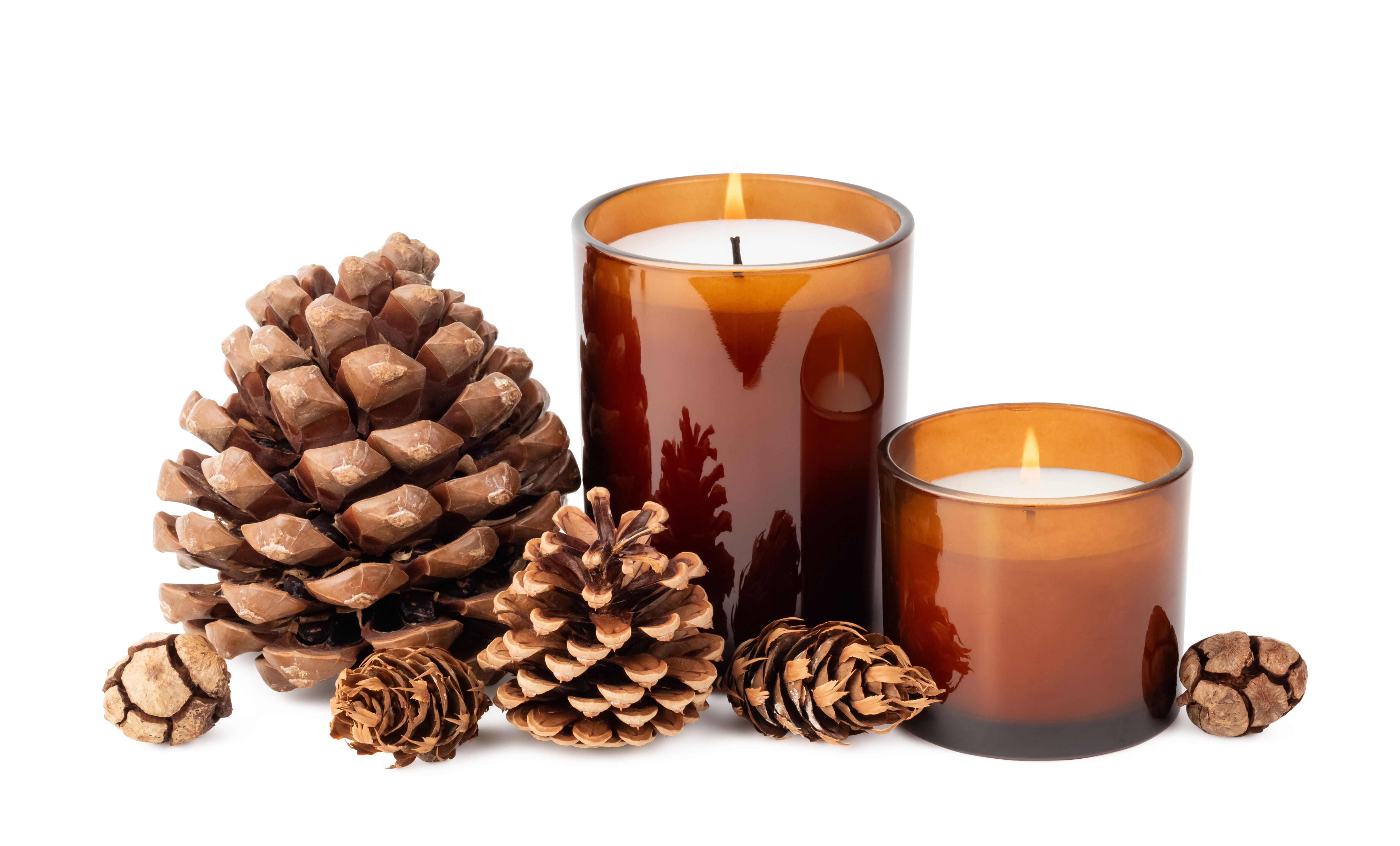 nature candle holder